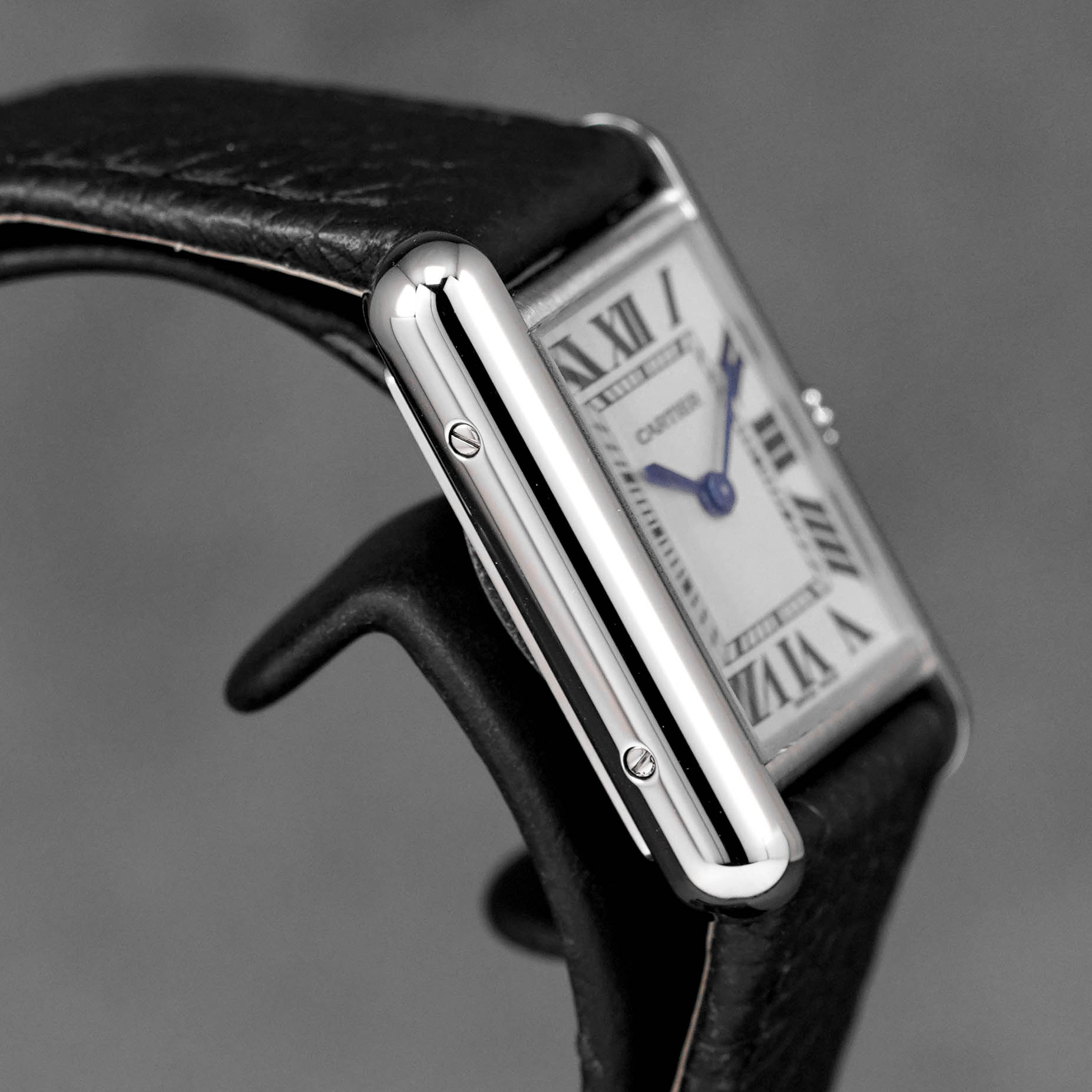 Harga Cartier Tank Must Solarbeat S Silver Terbaru