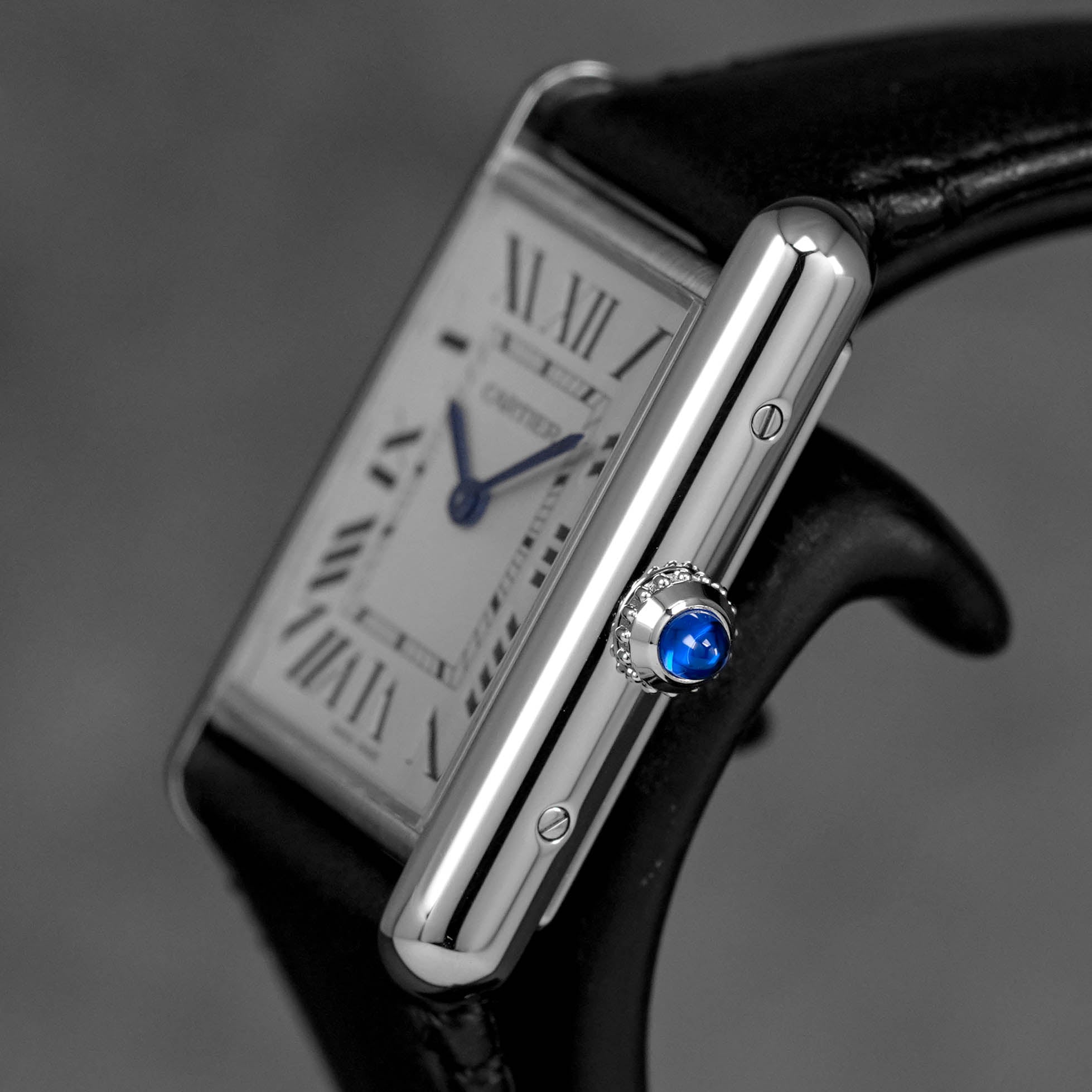 Harga Cartier Tank Must Solarbeat L