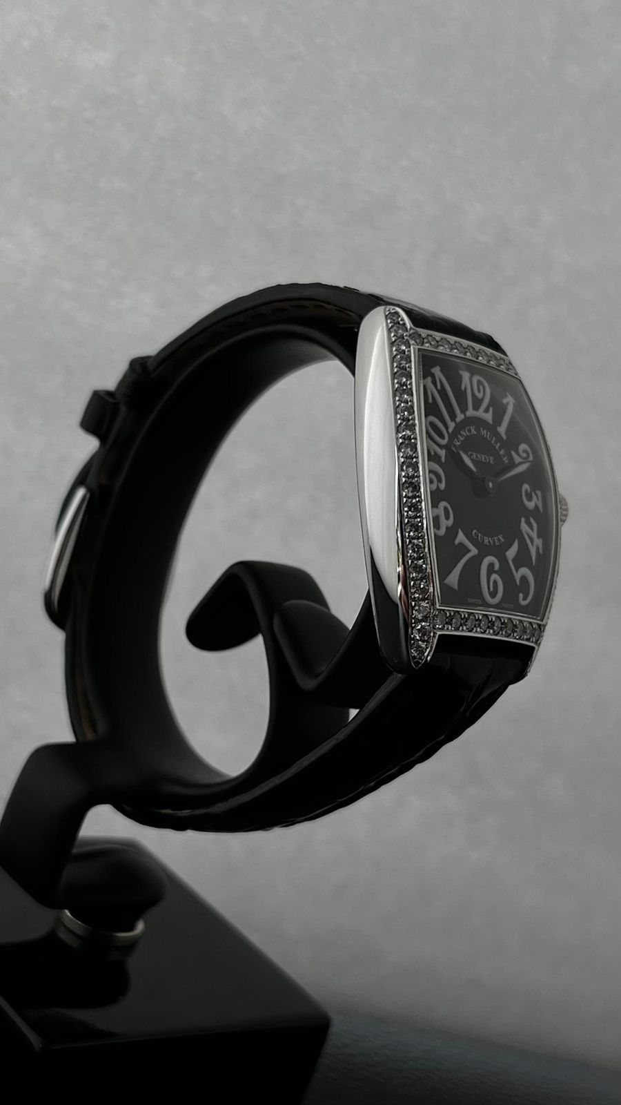 CINTREE CURVEX BLACK DIAL DIAMOND BEZEL (2022)