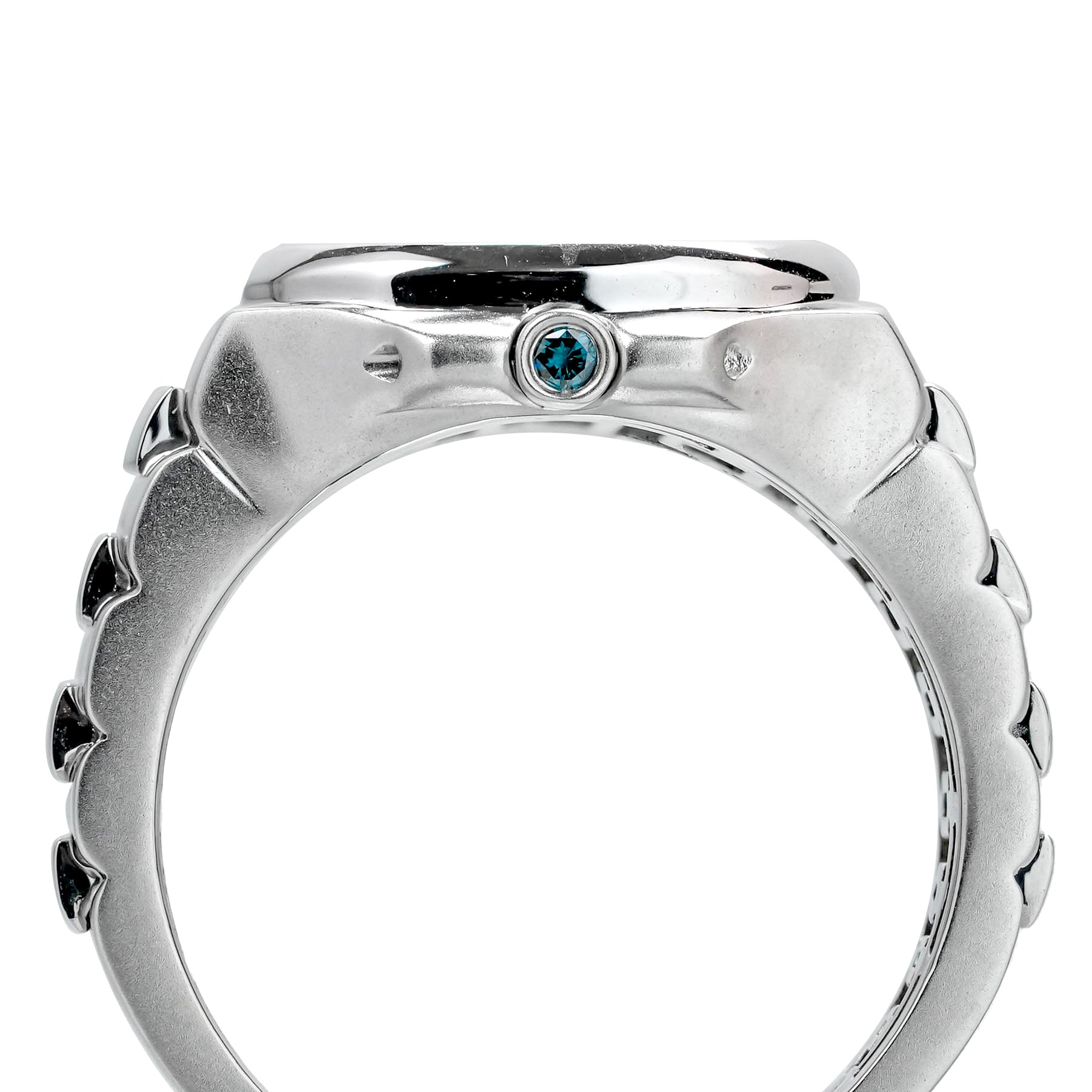 Custom Nautilus Ring