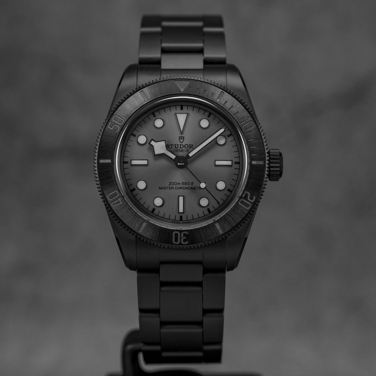 Tudor Black Bay