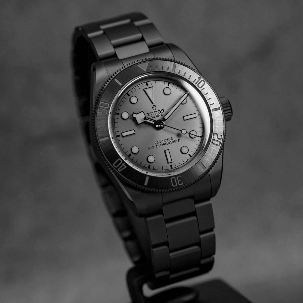 Tudor Black Bay