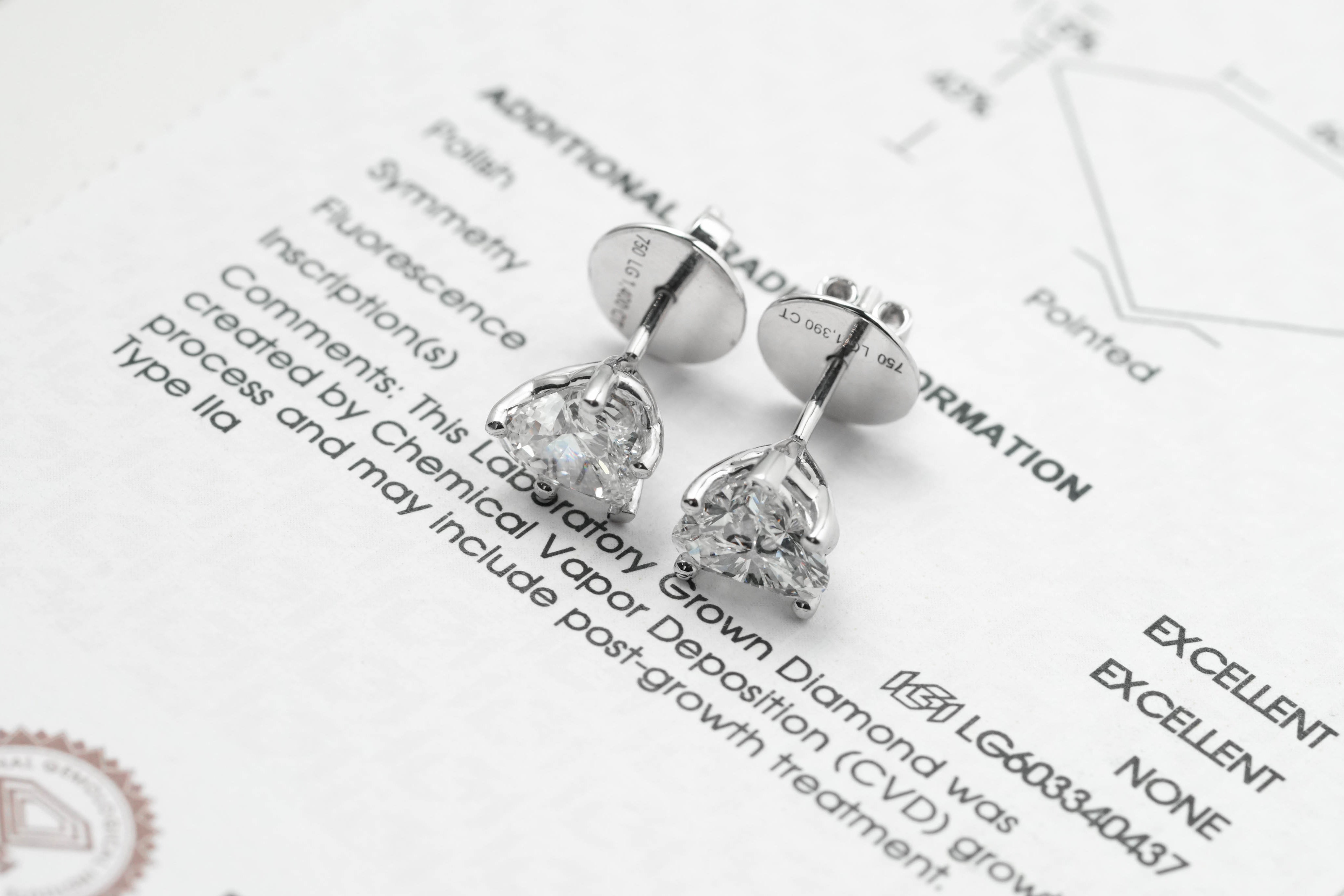 Harga Lab Grown Diamond Stud Earrings Whitegold