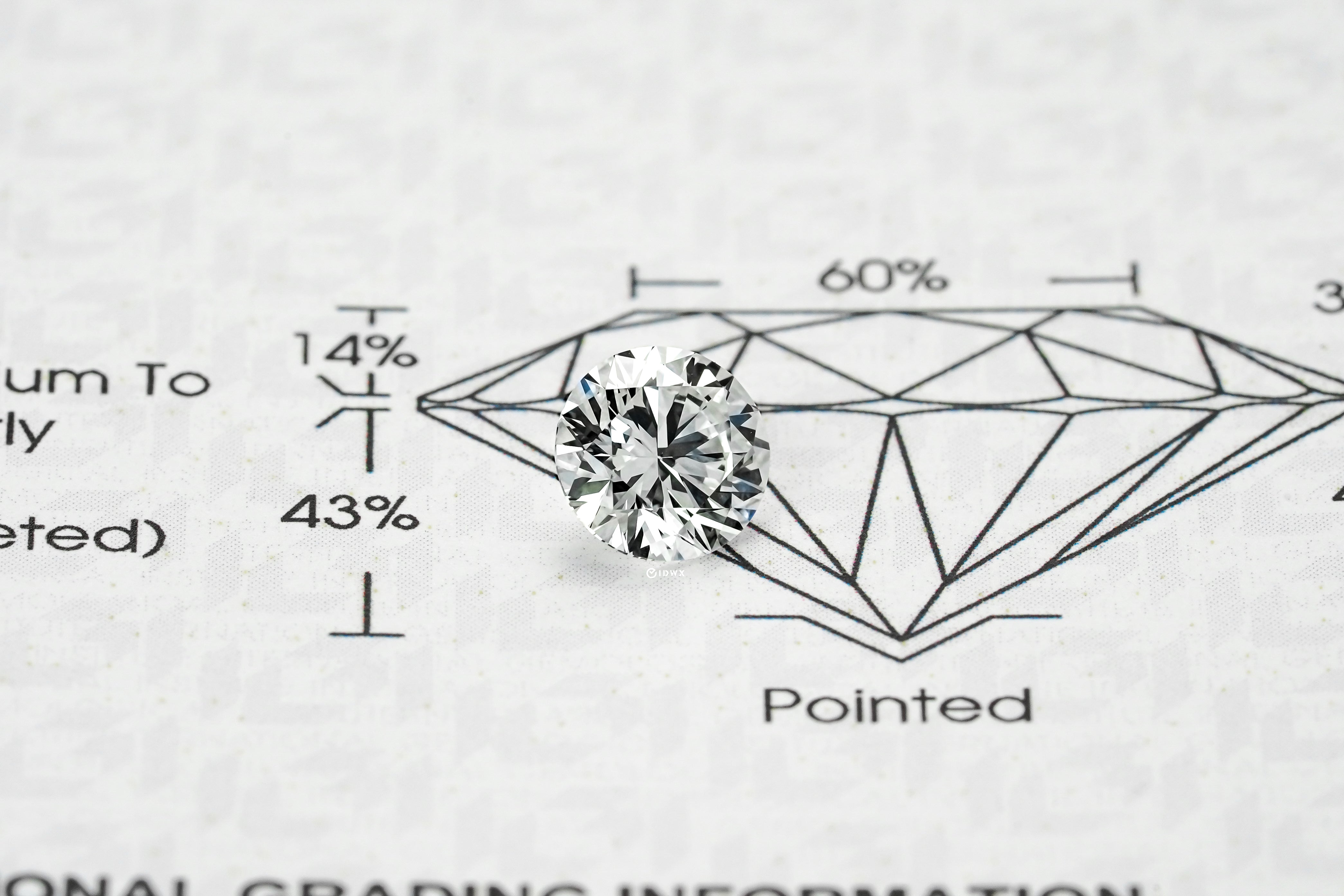 LAB GROWN DIAMOND BY IGI - RB 1.00CT / E-VVS2