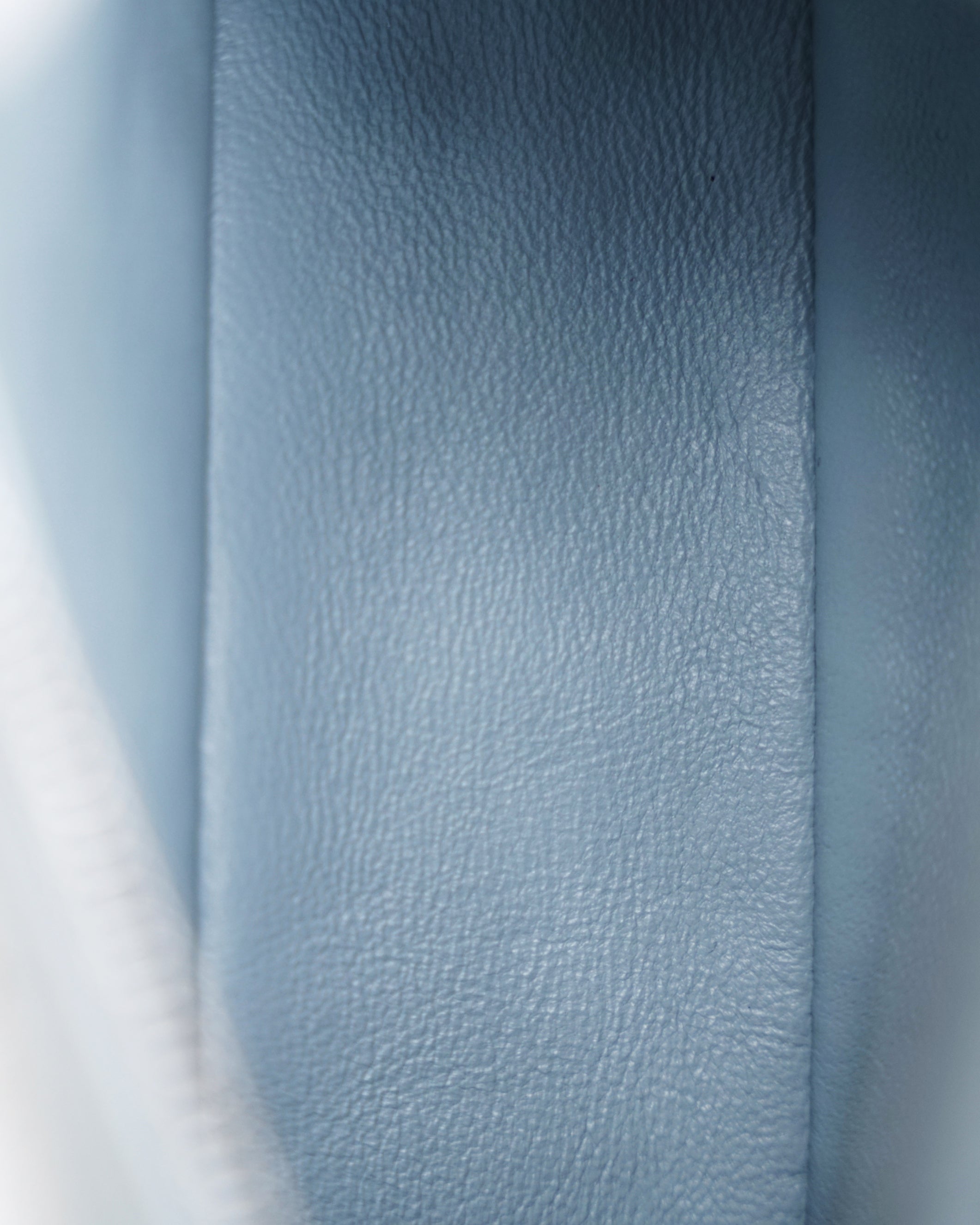 EXTRA POCKET L19 HAMMERED CALFSKIN MINTY BREEZE