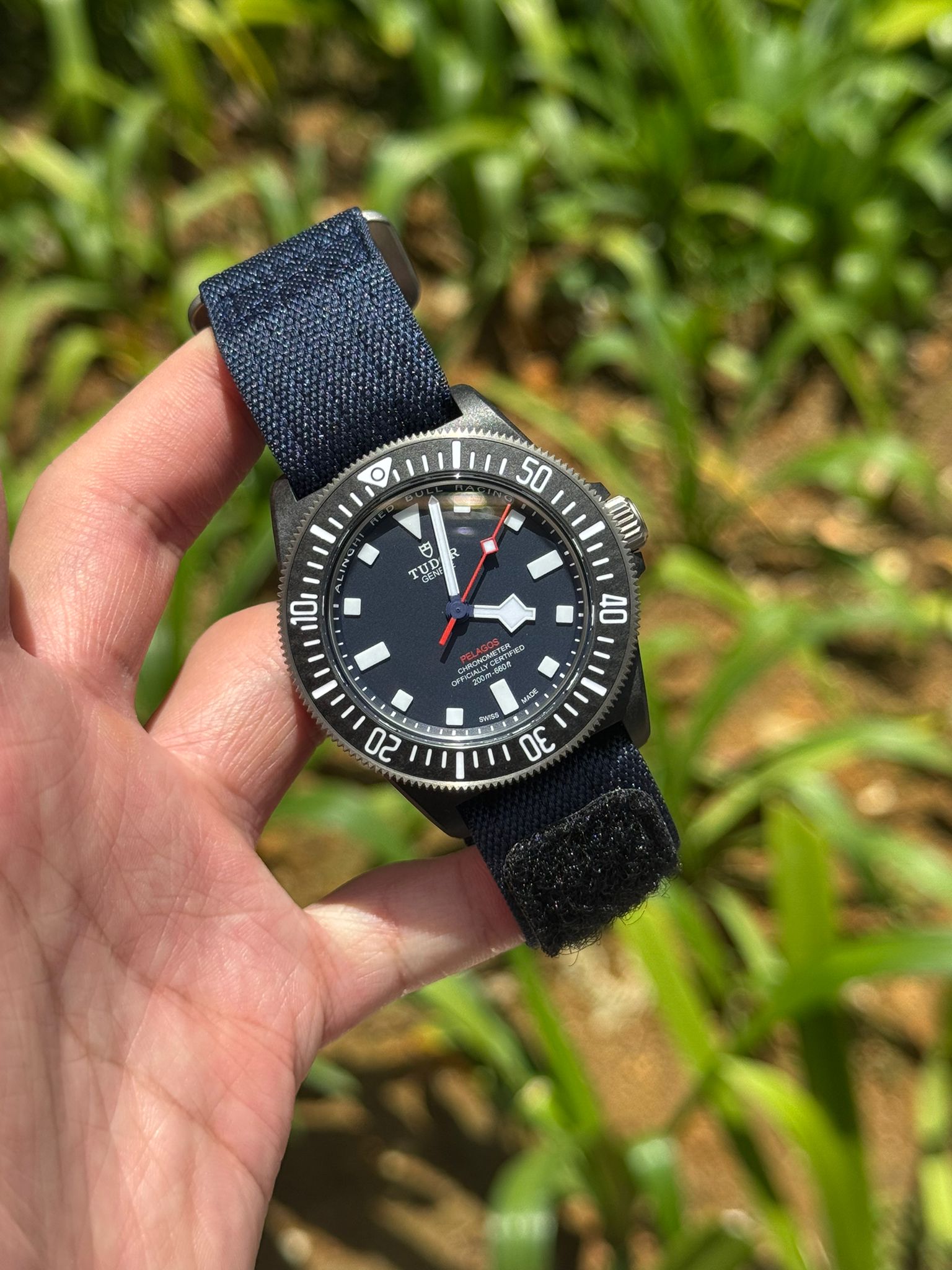 PELAGOS FXD BLACK CARBON 'ALINGHI RED BULL' BLUE DIAL (2025)
