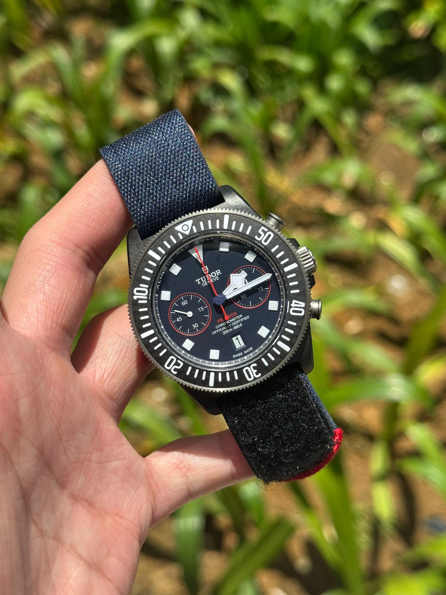 PELAGOS FXD CHRONO BLACK CARBON 'ALINGHI RED BULL RACING' BLUE DIAL (2025)