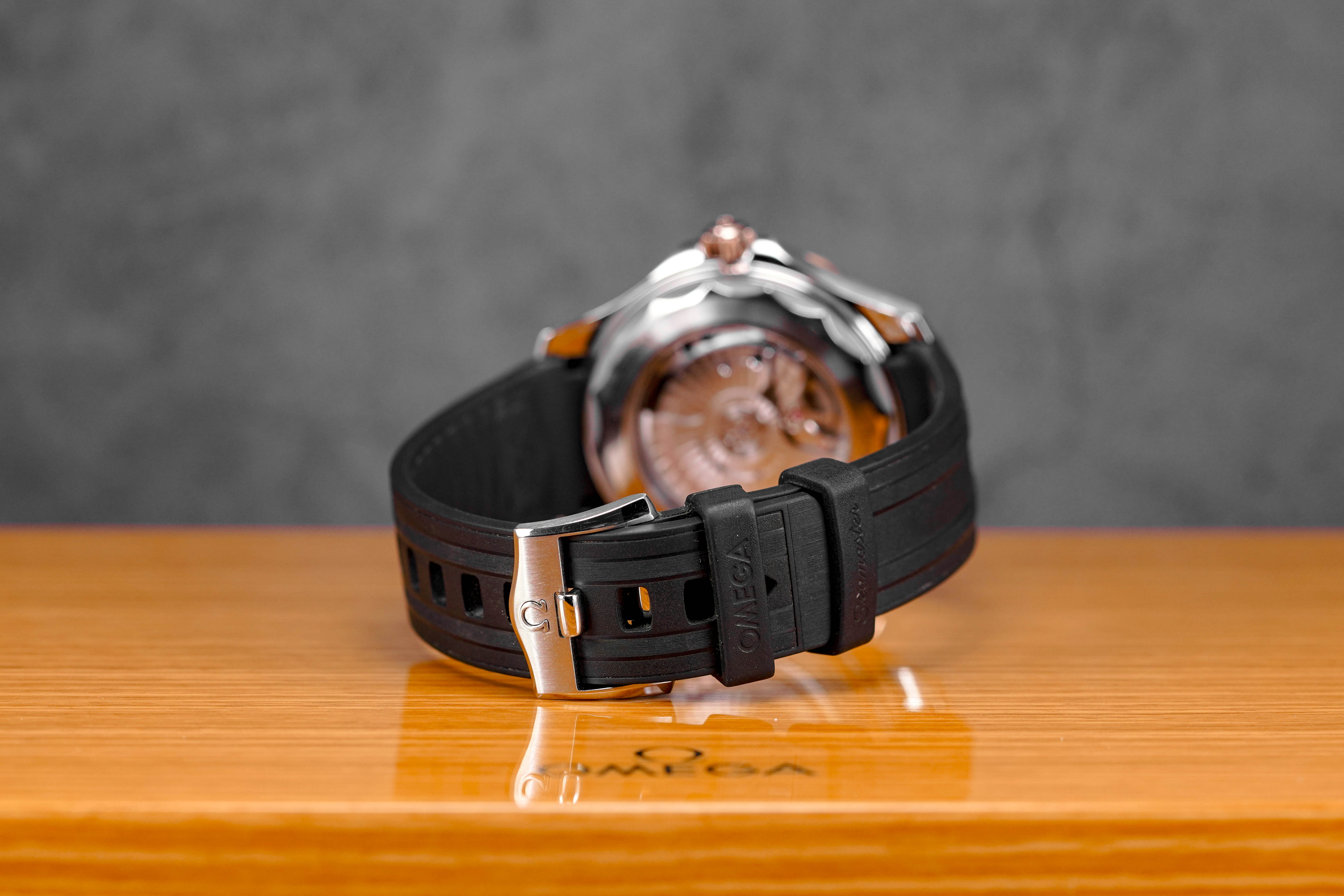 Harga Omega Seamaster Sedna Gold Black