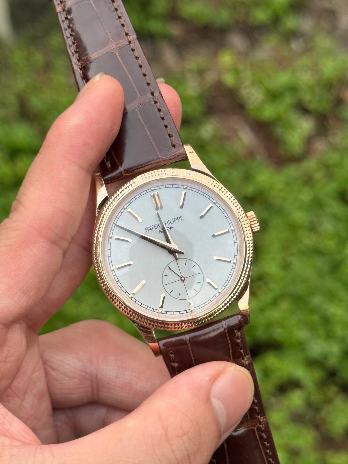 CALATRAVA 6119R ROSEGOLD SILVER DIAL (2026)