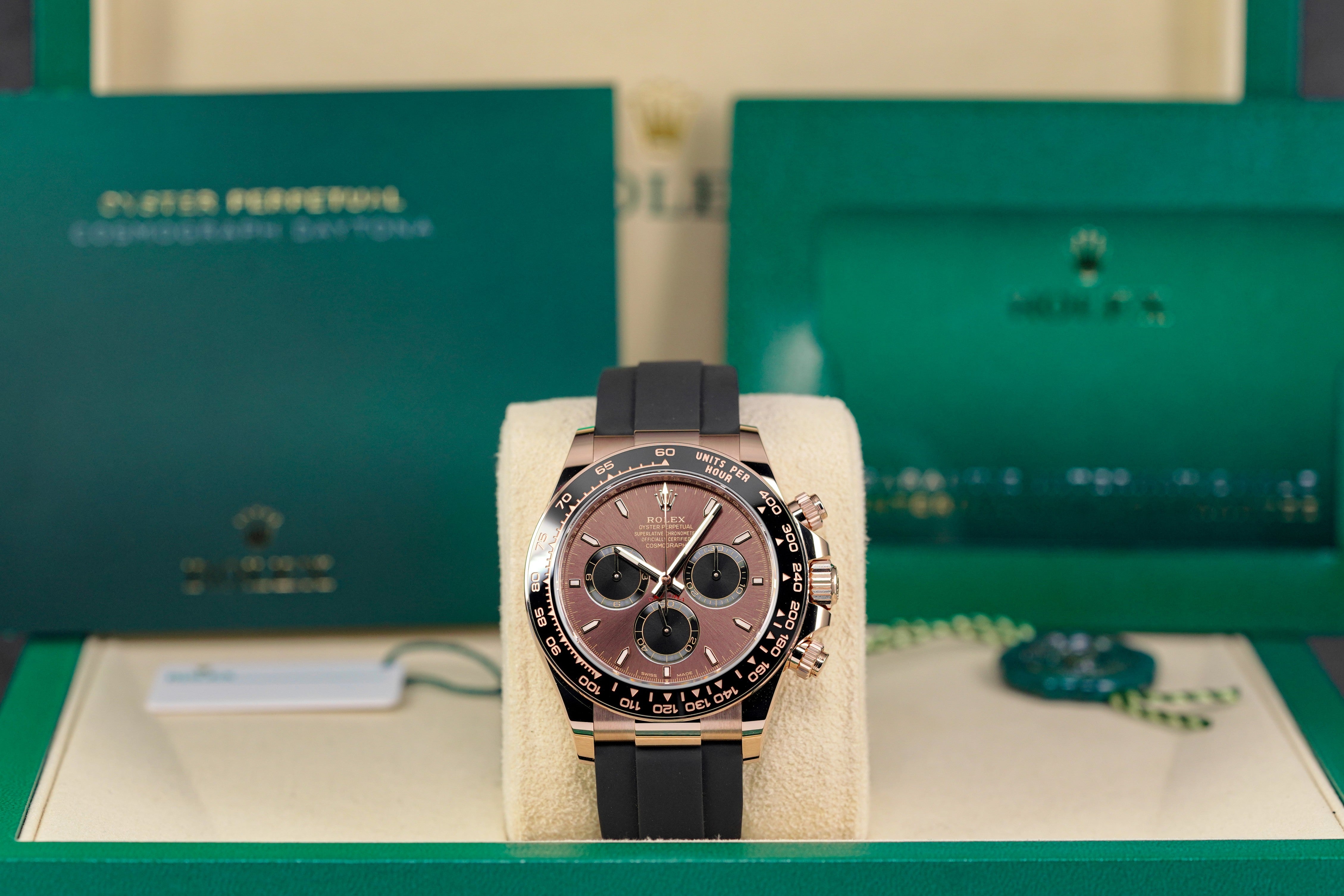 Harga Rolex Daytona Choco Indonesia