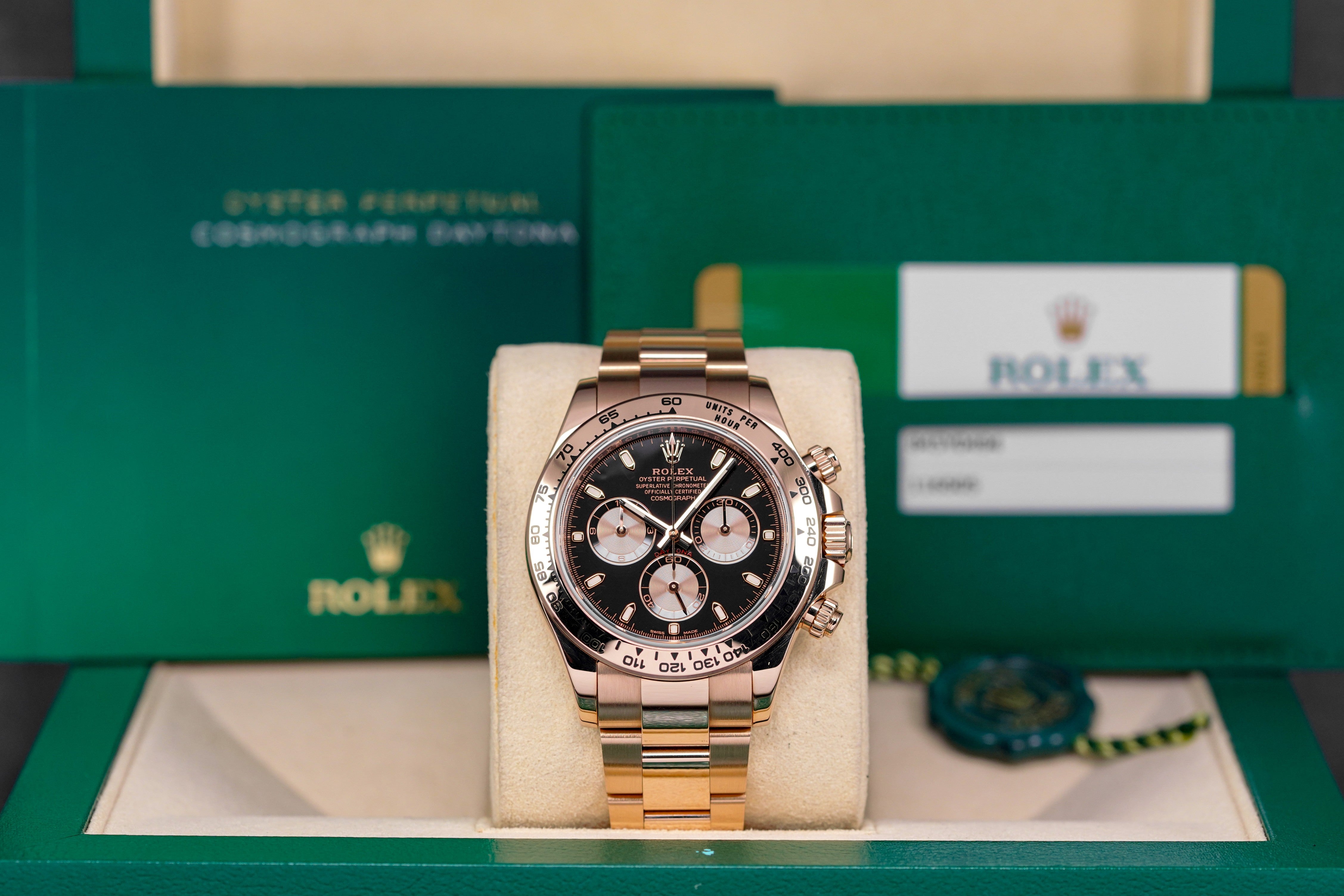 Harga Rolex Daytona Rosegold Black Indonesia