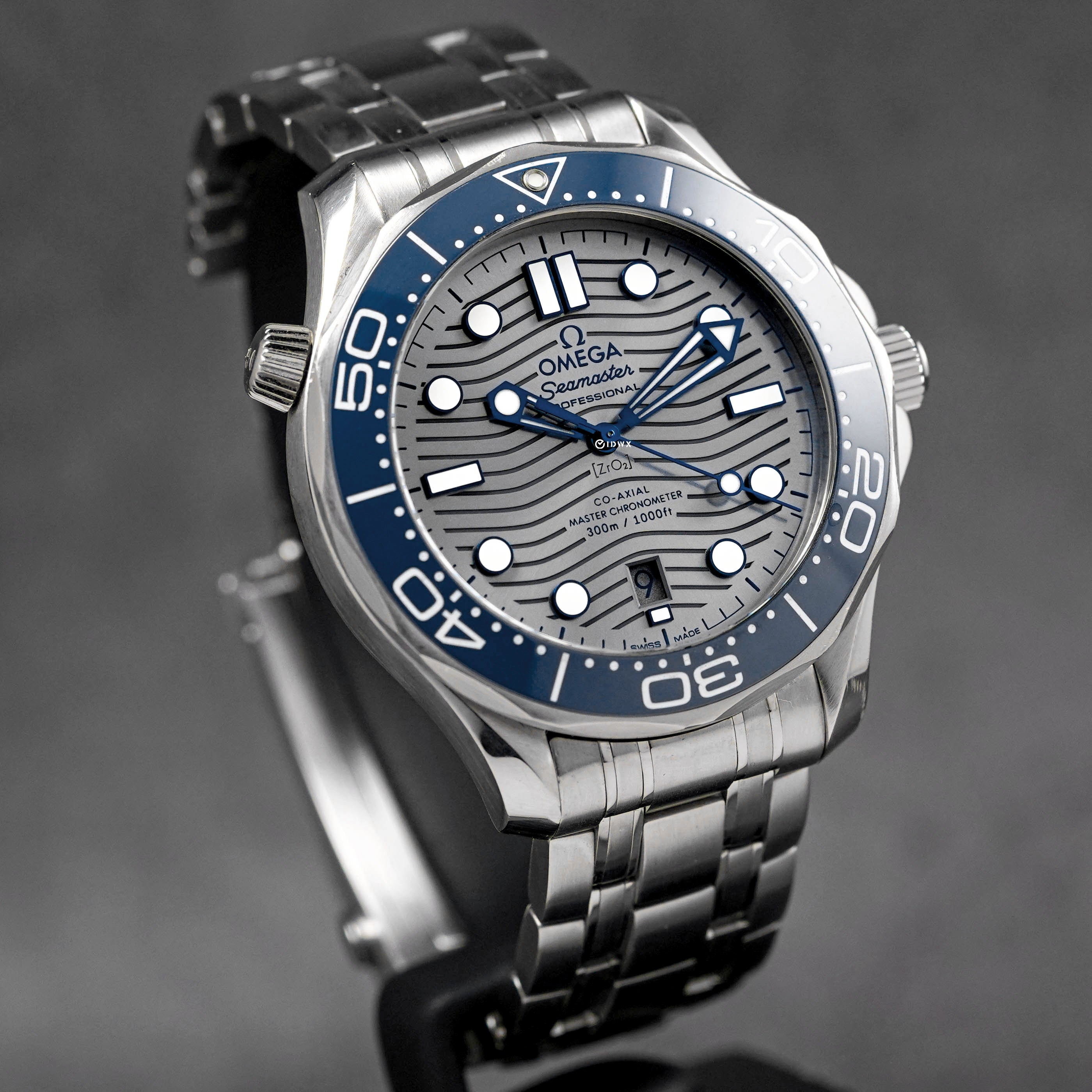 Seamaster Diver 300