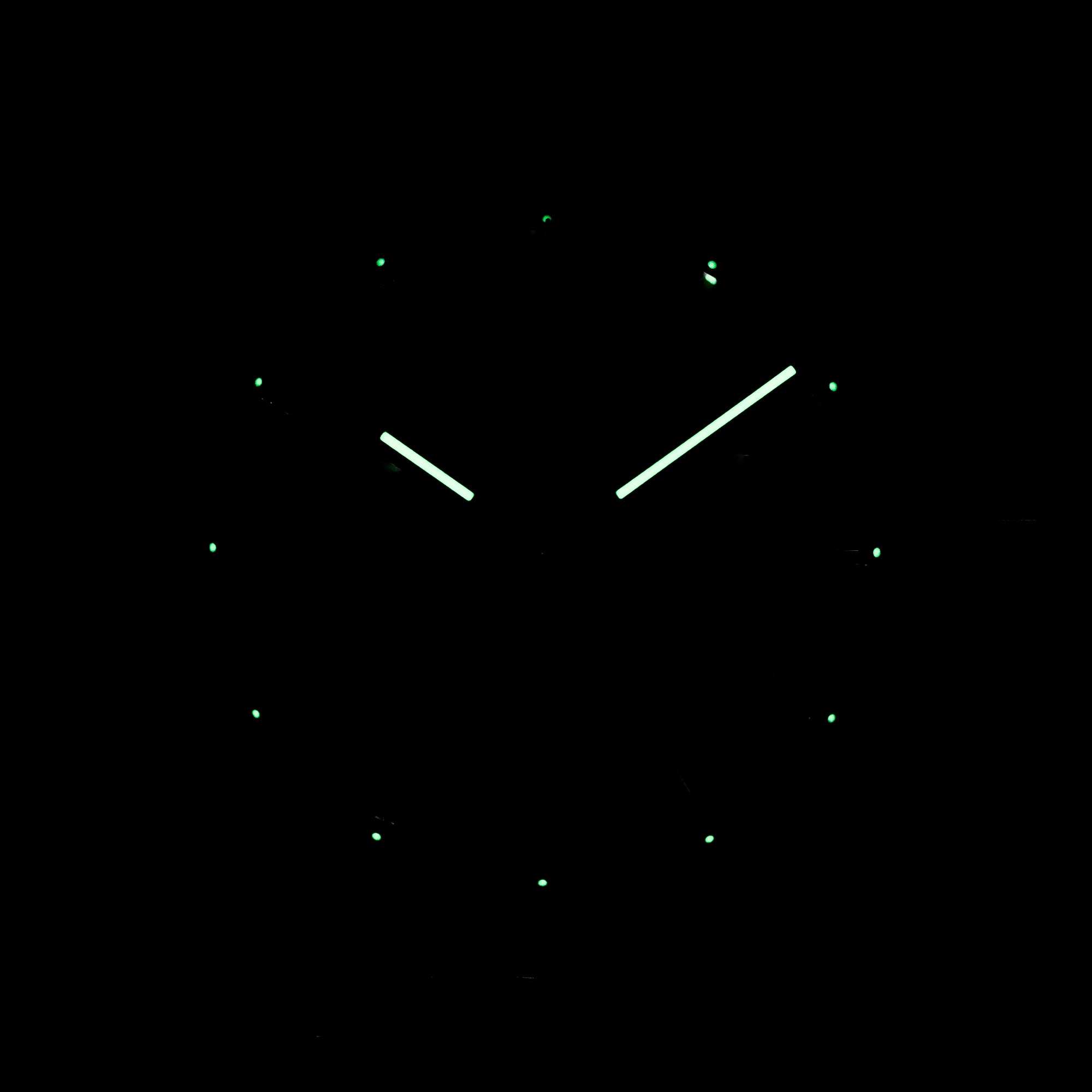 CARRERA CHRONOGRAPH REVERSE PANDA DIAL (2024)