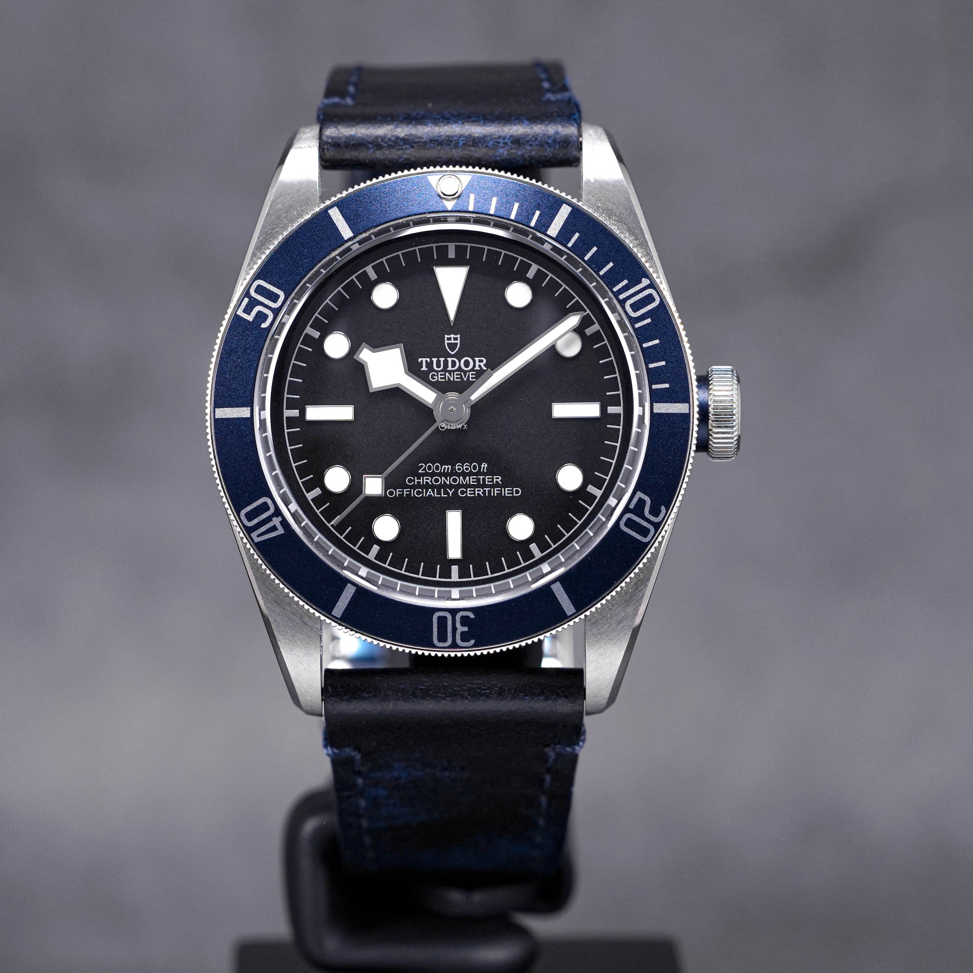 Black Bay Blue Bezel TUDOR Black Bay M79230B-0008 Mens Swiss Diver