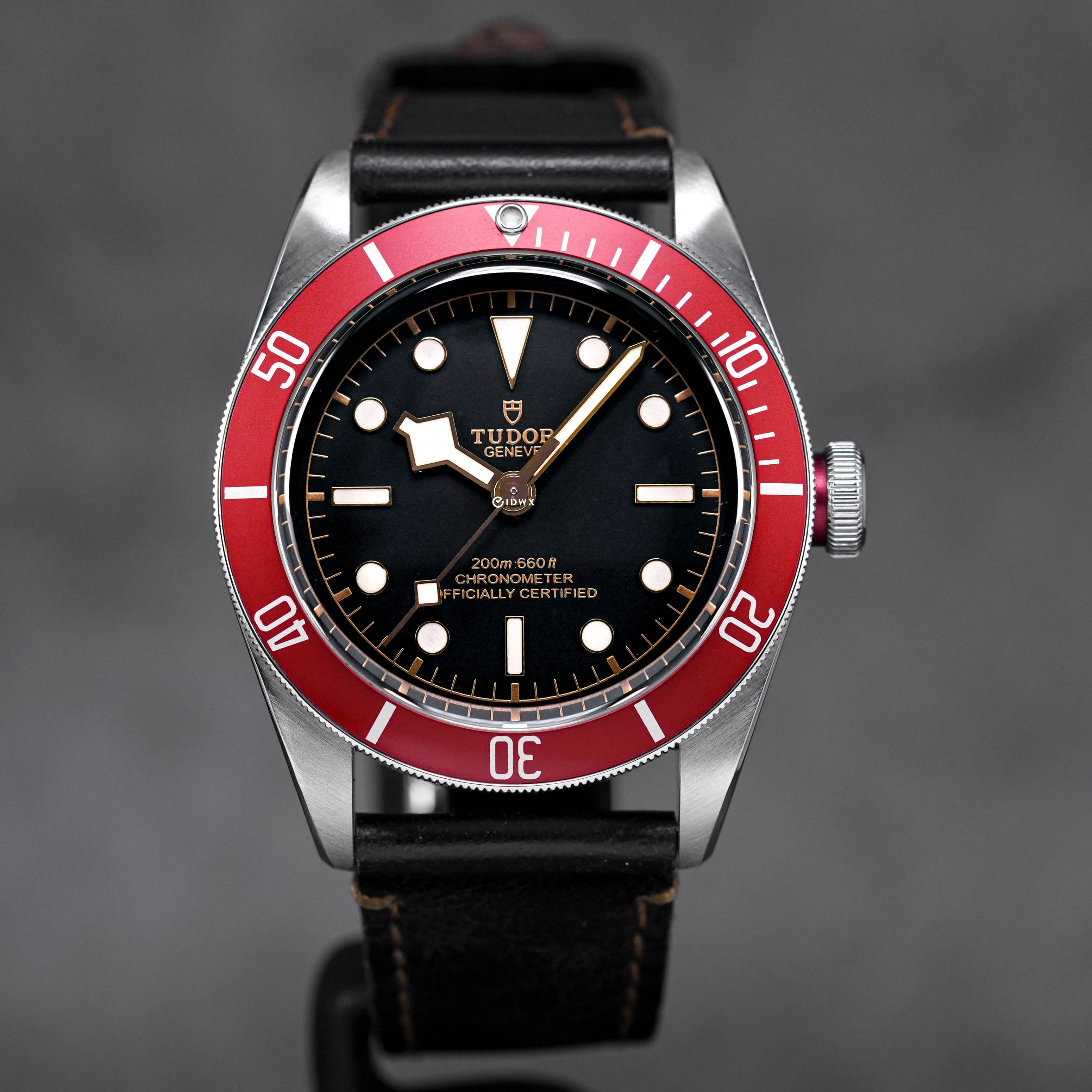 Tudor heritage hotsell black bay red