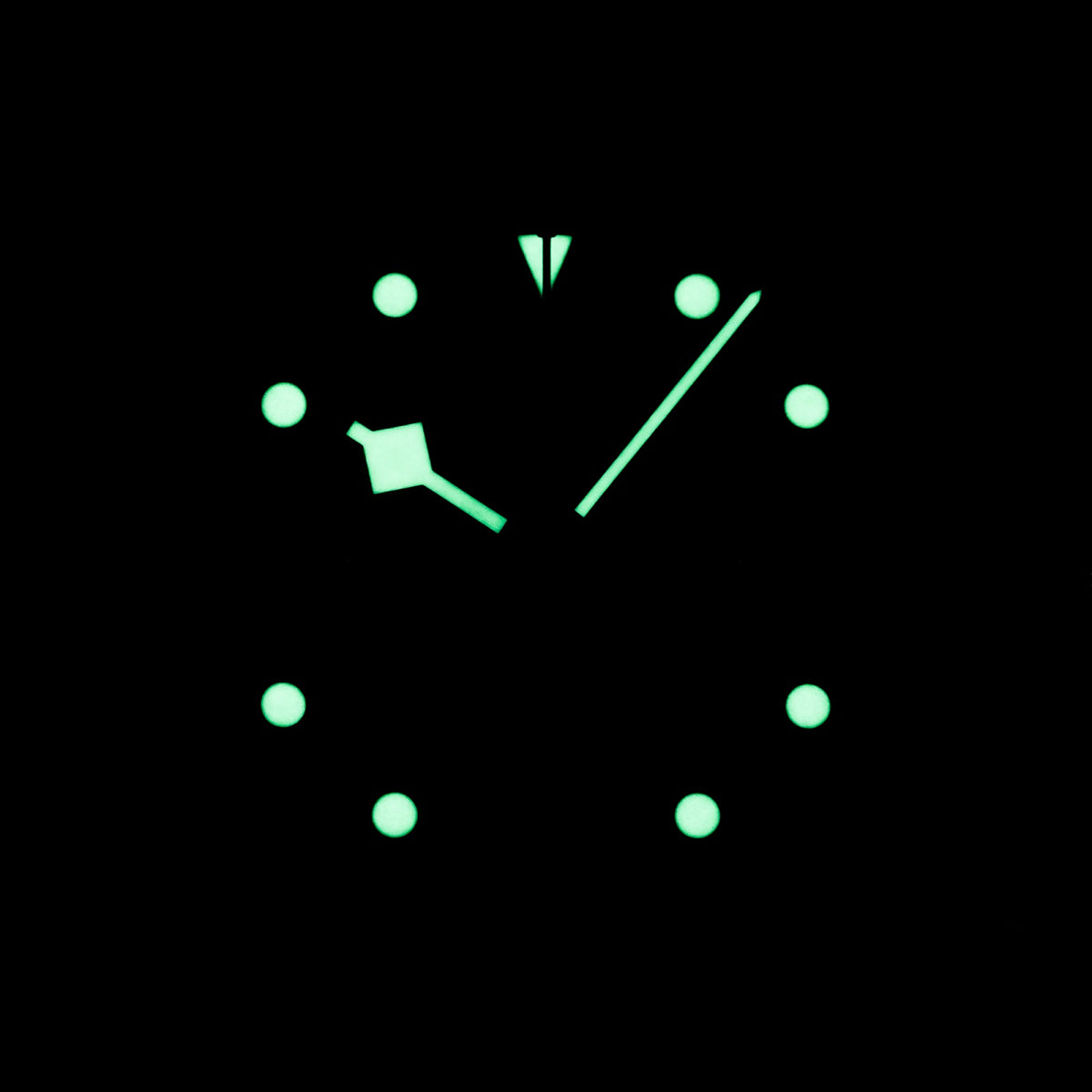tudor black bay
