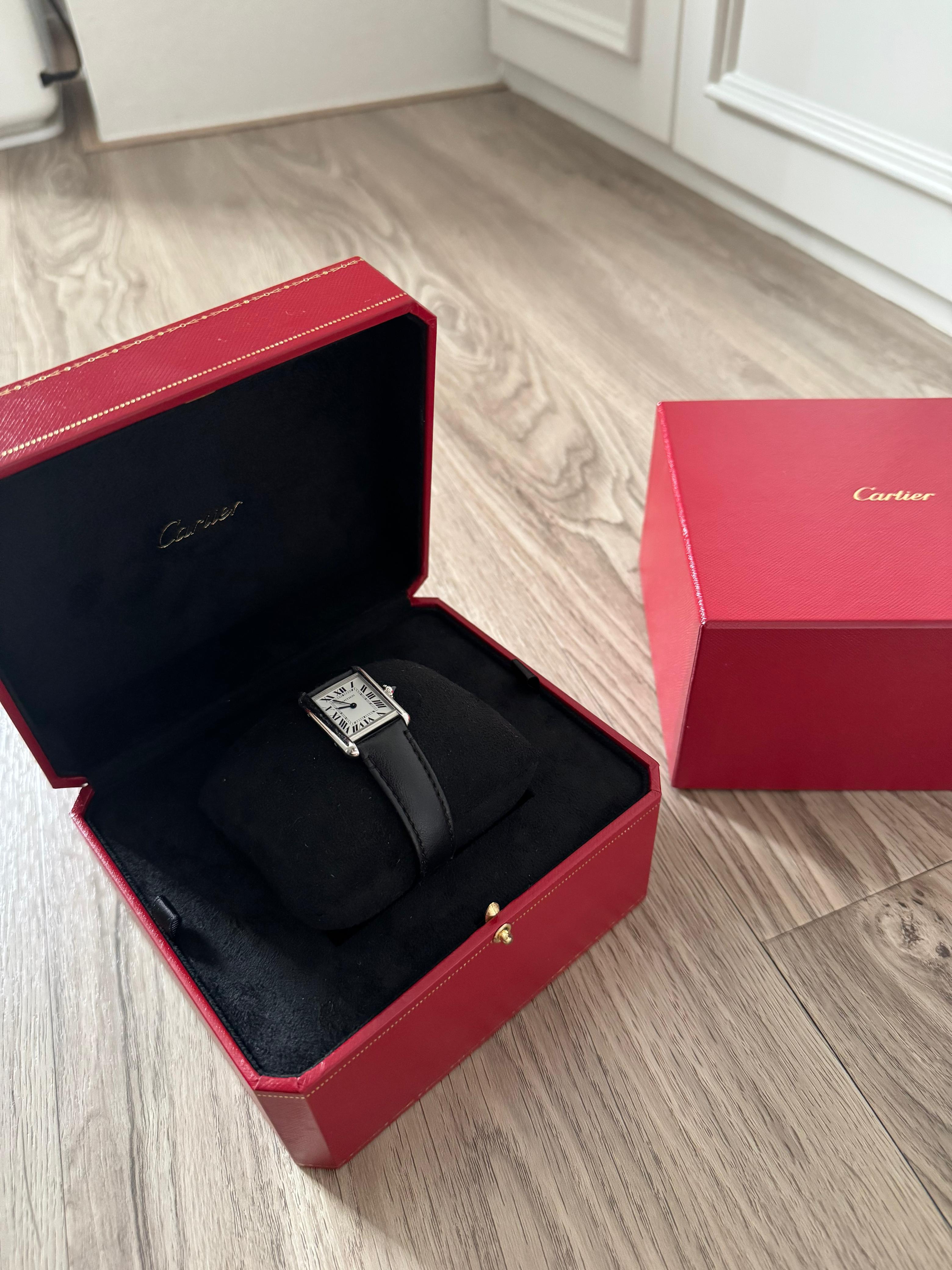 TANK MUST SOLARBEAT S SILVER DIAL (2022)