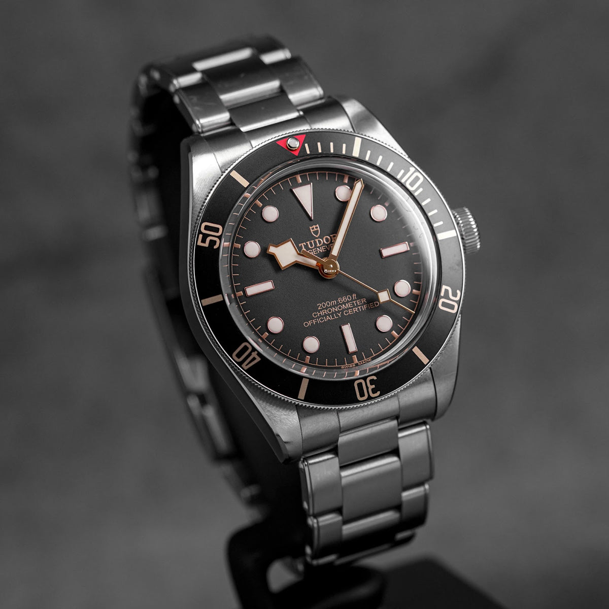 Tudor Black Bay
