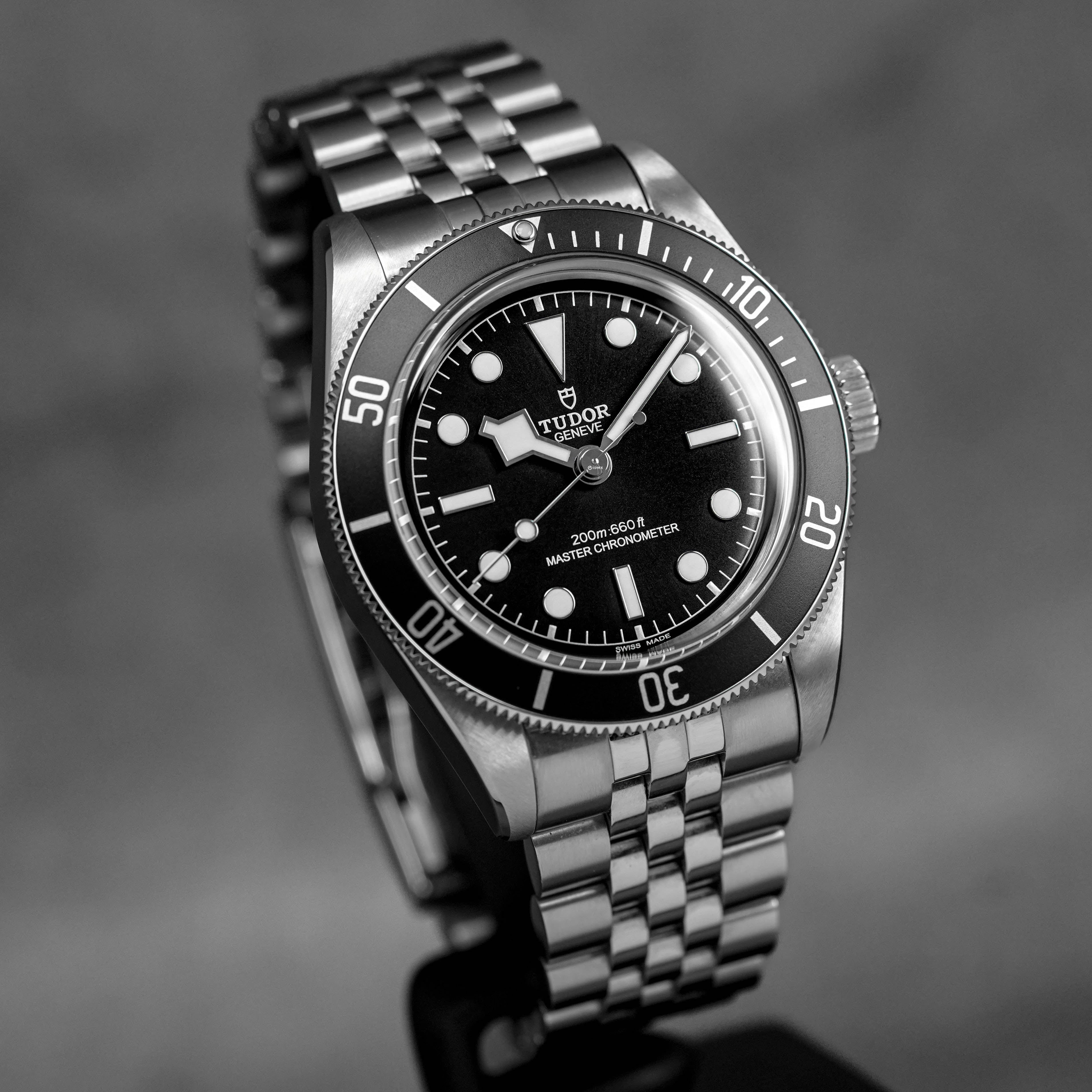 Harga Tudor Black Bay 41 Monochrome