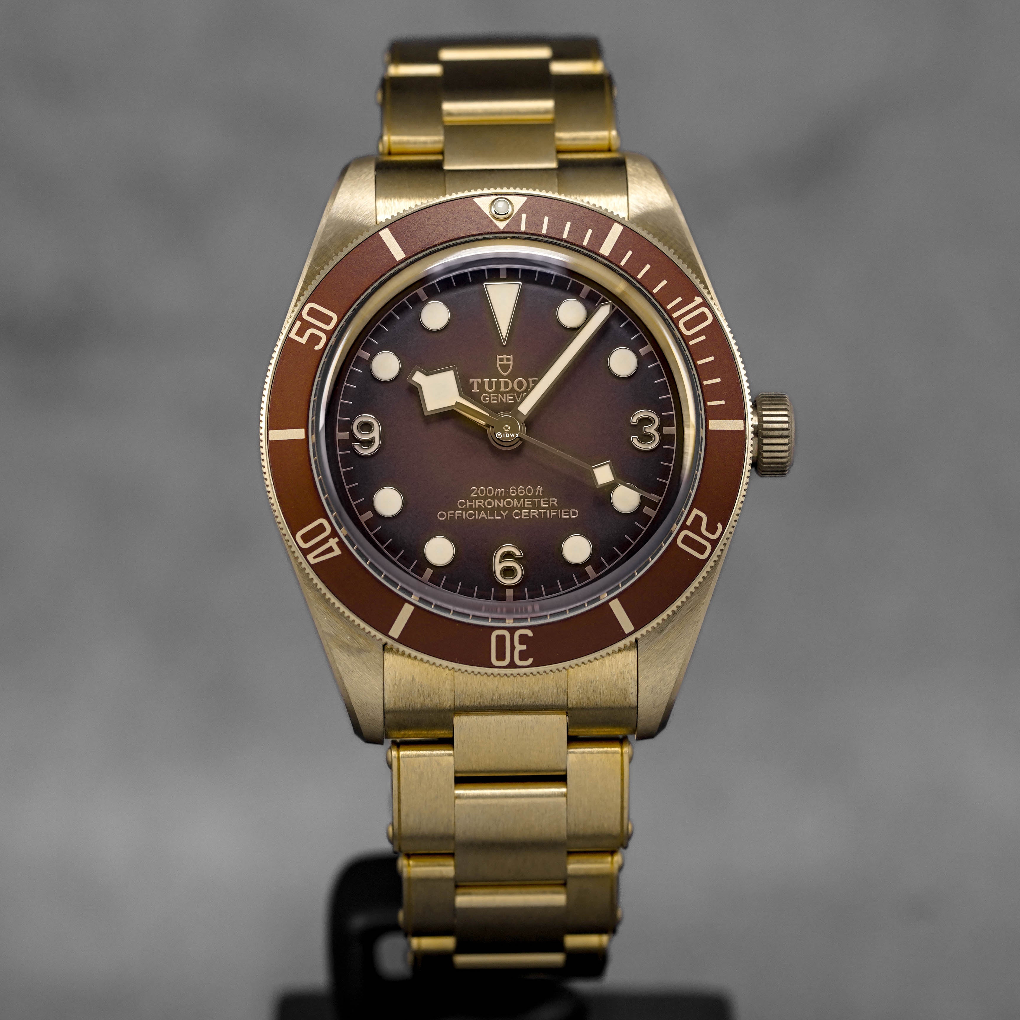 TUDOR BLACK BAY 58 BRONZE (2024) IDWX - Main Image