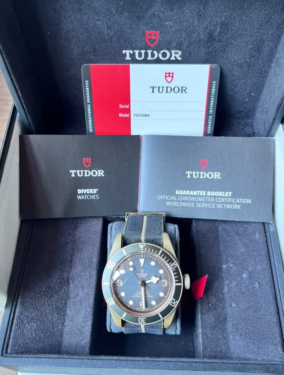 Tudor Black Bay