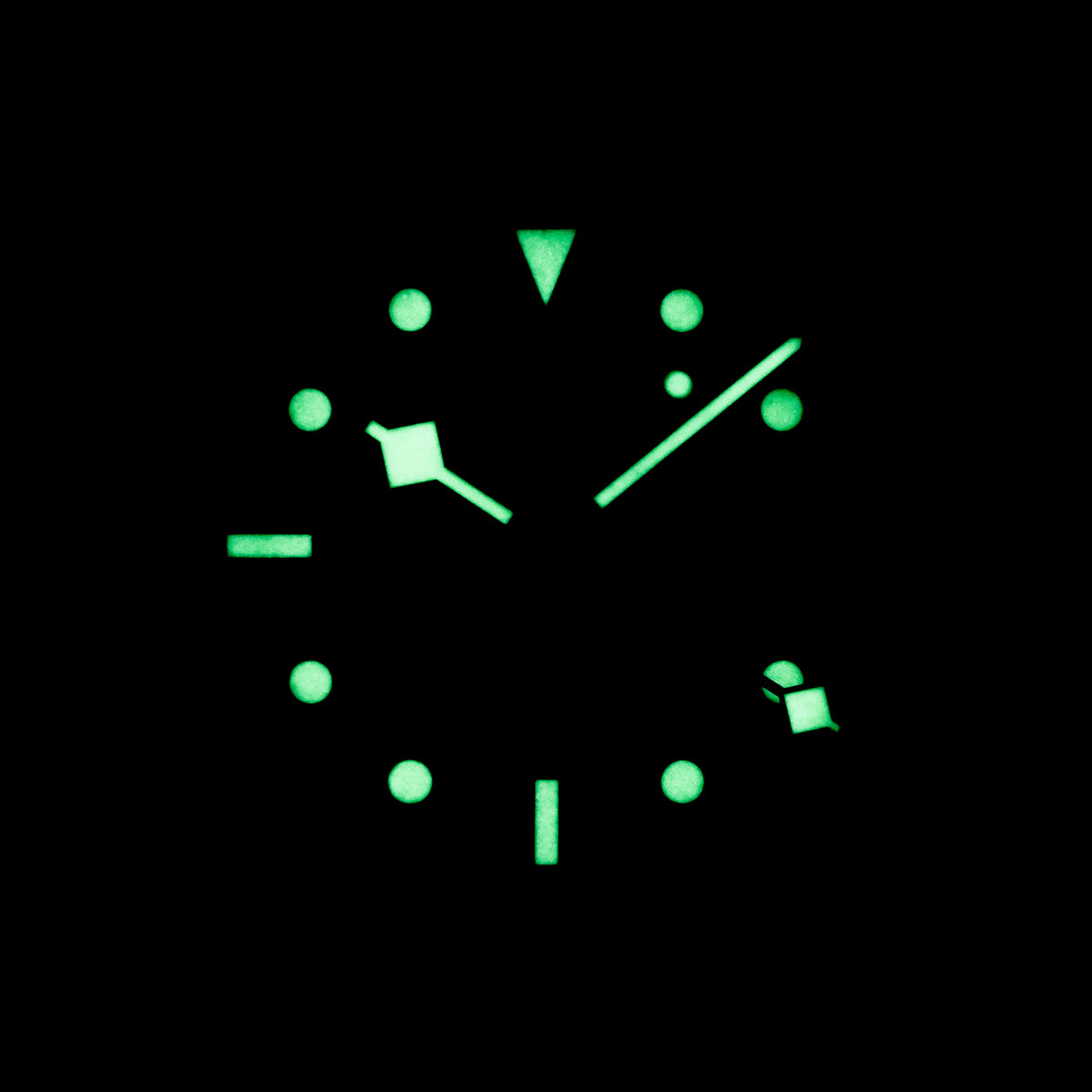 Tudor Black Bay