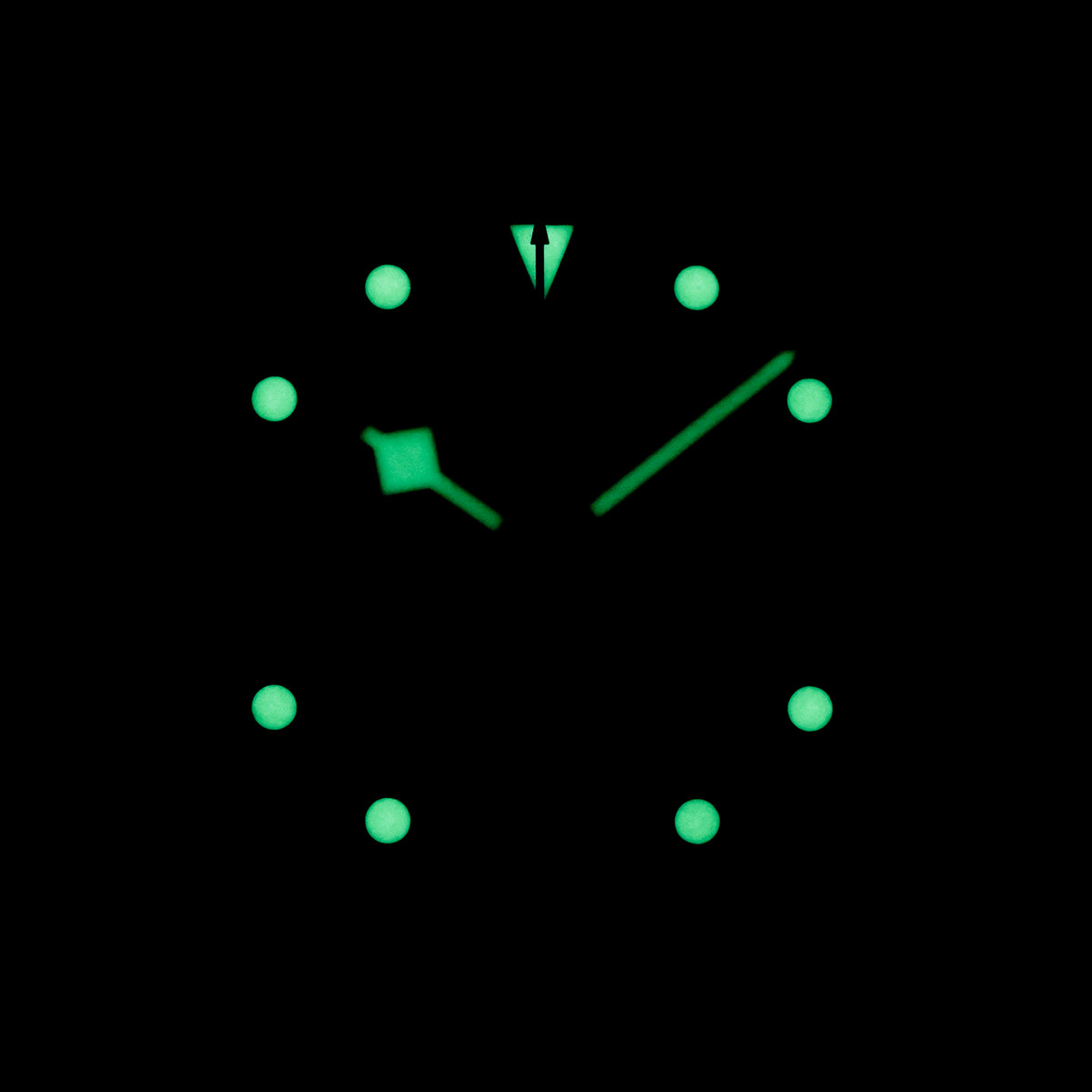 Tudor Black Bay