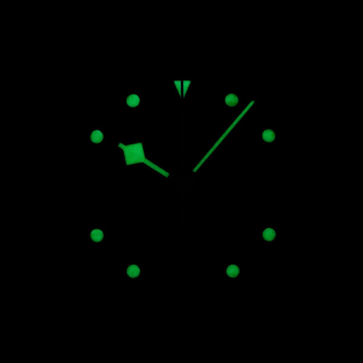 Tudor Black Bay