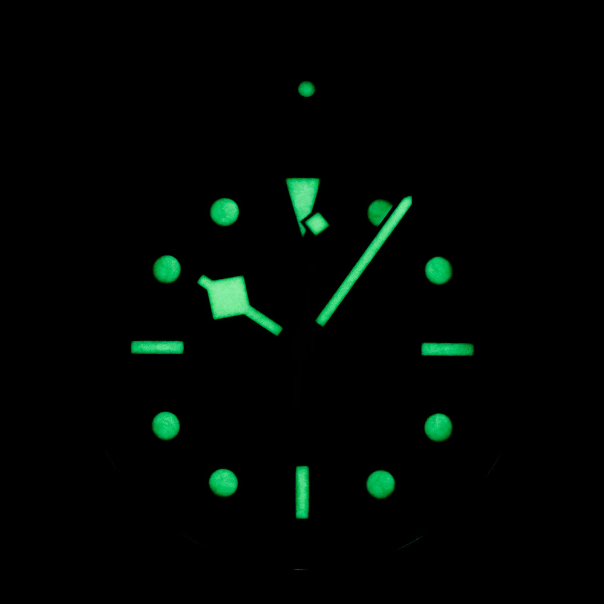 Tudor Black Bay