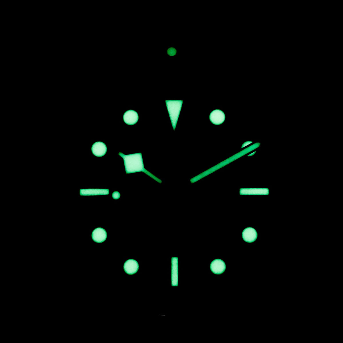 Tudor Black Bay