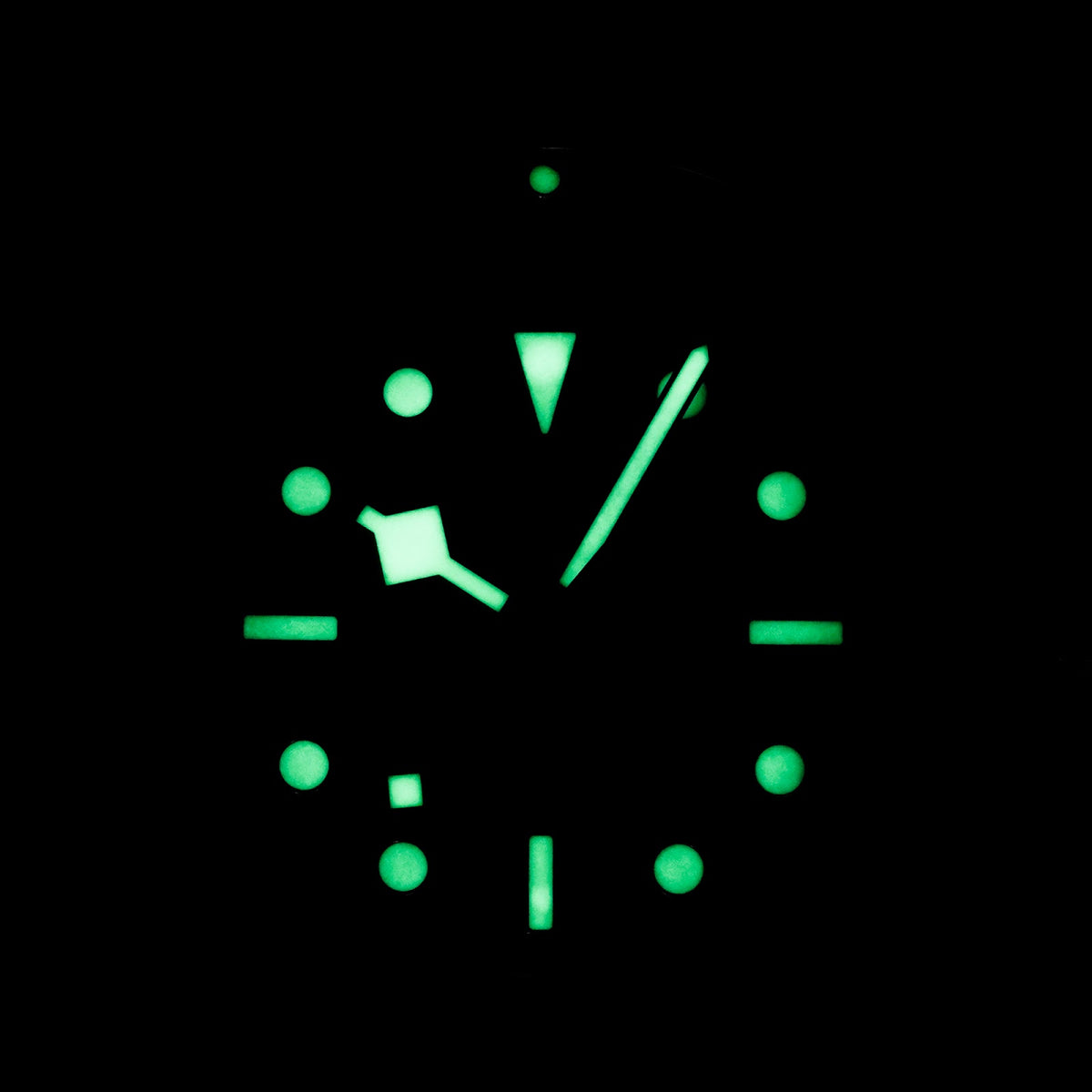 Tudor Black Bay