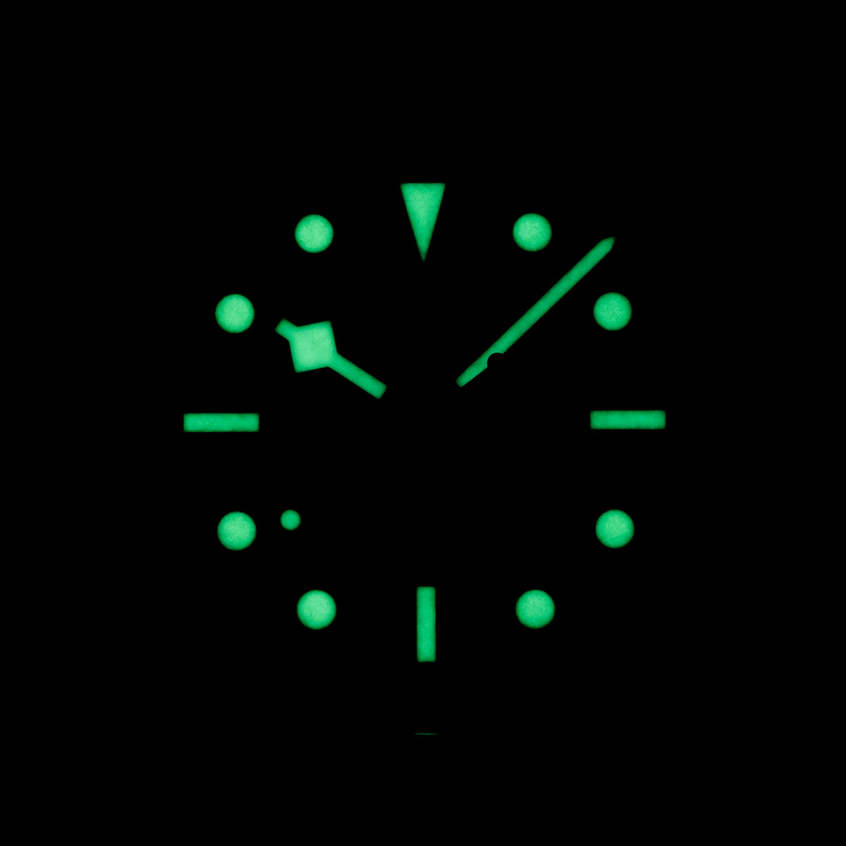 Tudor Black Bay