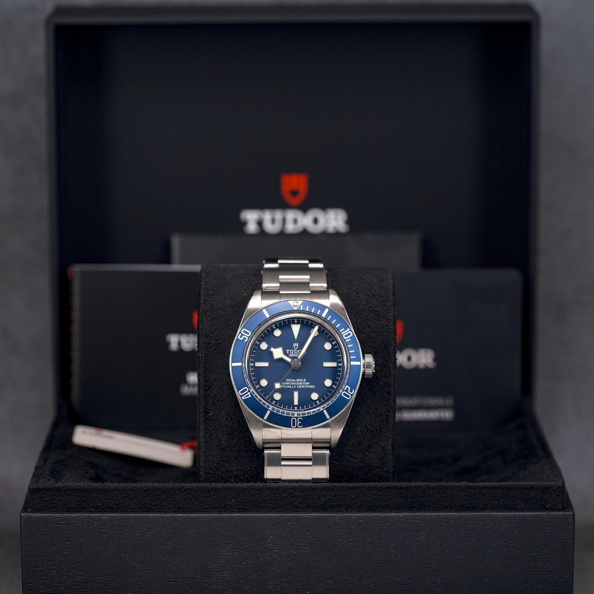 Tudor Black Bay