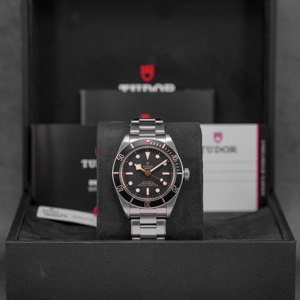 Tudor Black Bay