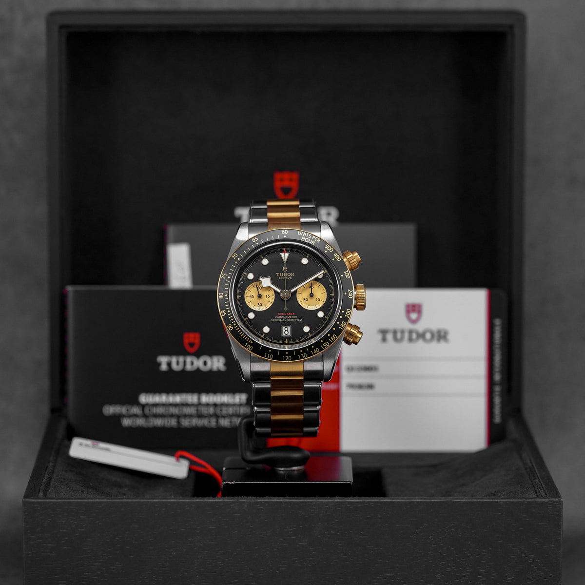 Tudor Black Bay