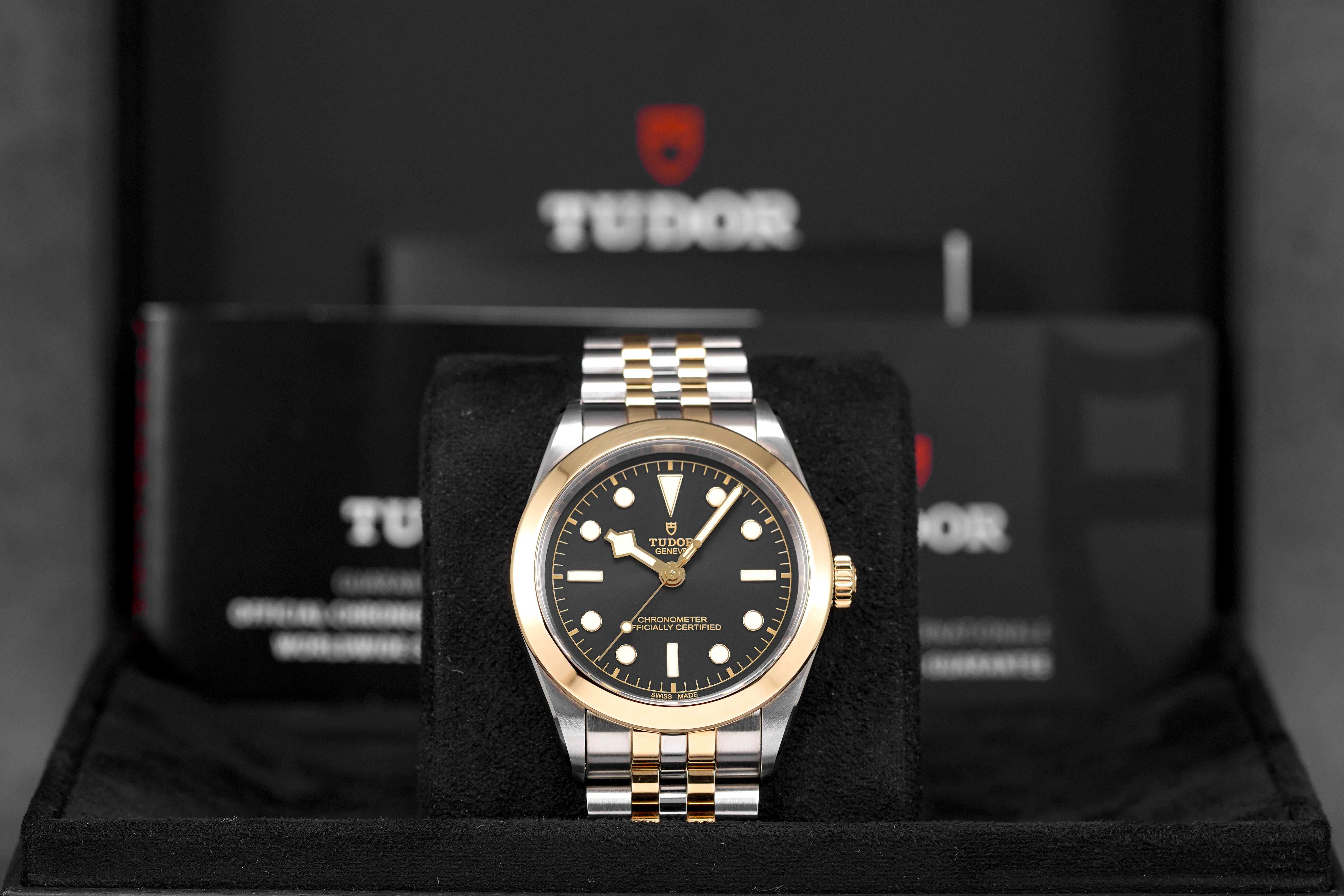 Harga Tudor Black Bay Black