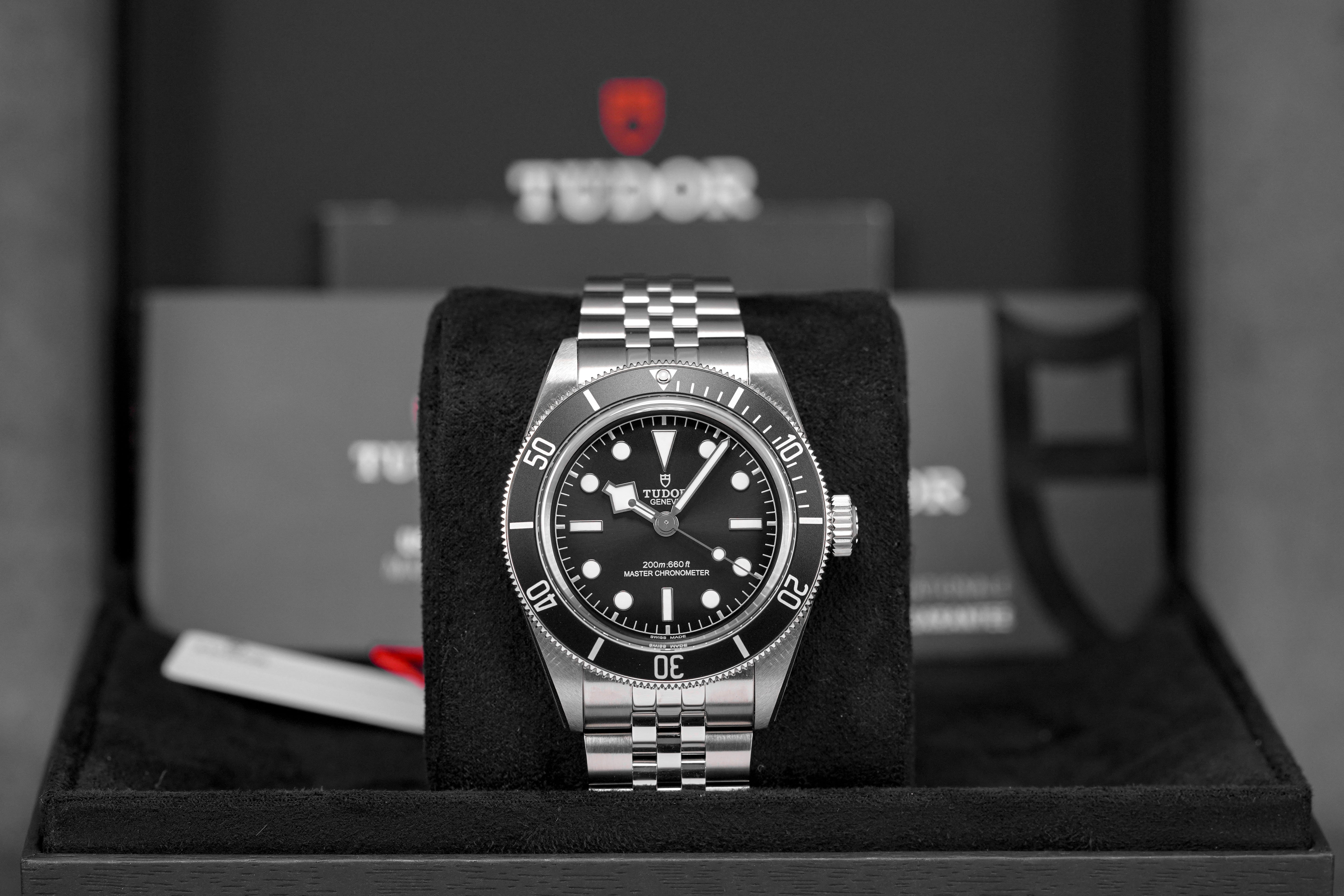 Harga Tudor Black Bay Monochrome Jubilee Terbaru