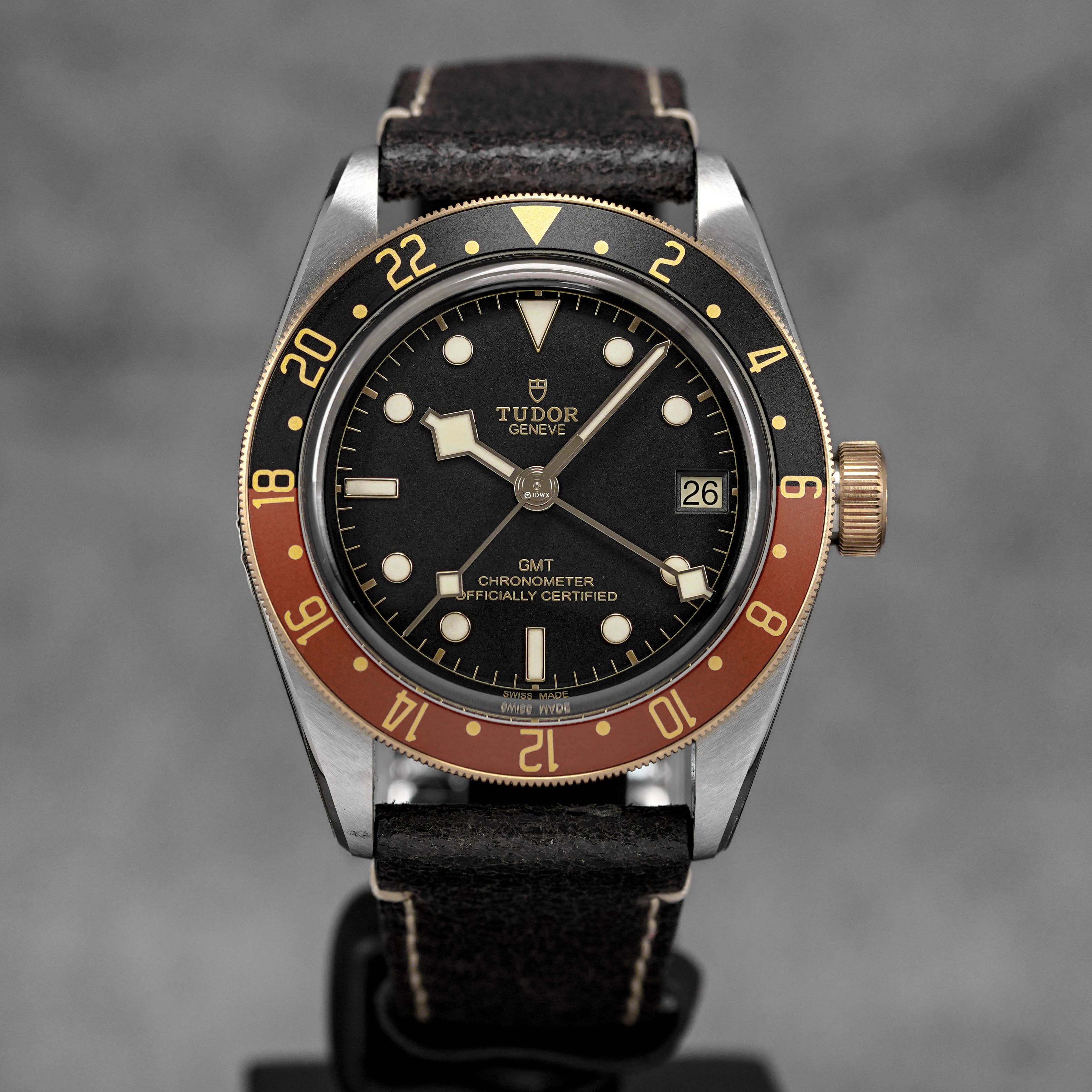 Harga Tudor Black Bay S&G