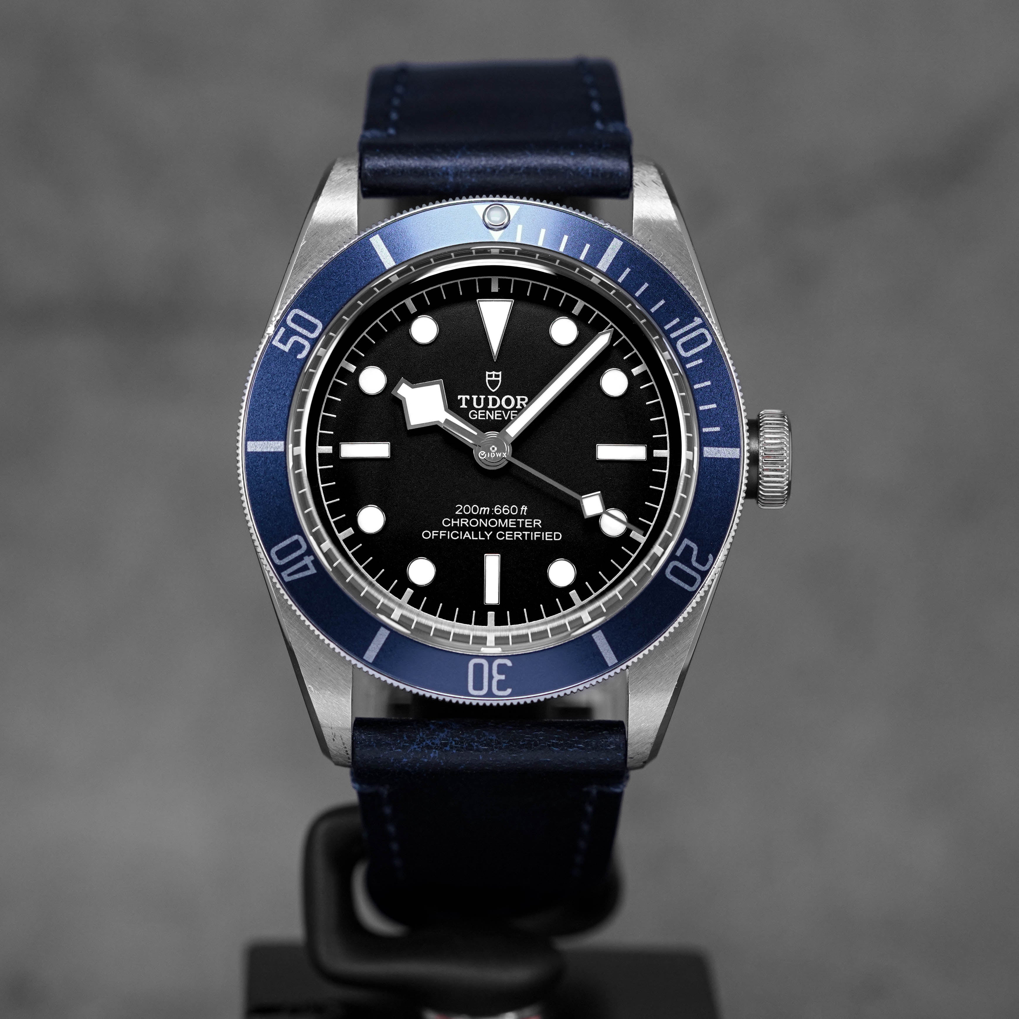 Harga Tudor Heritage Black Bay 41 Blue