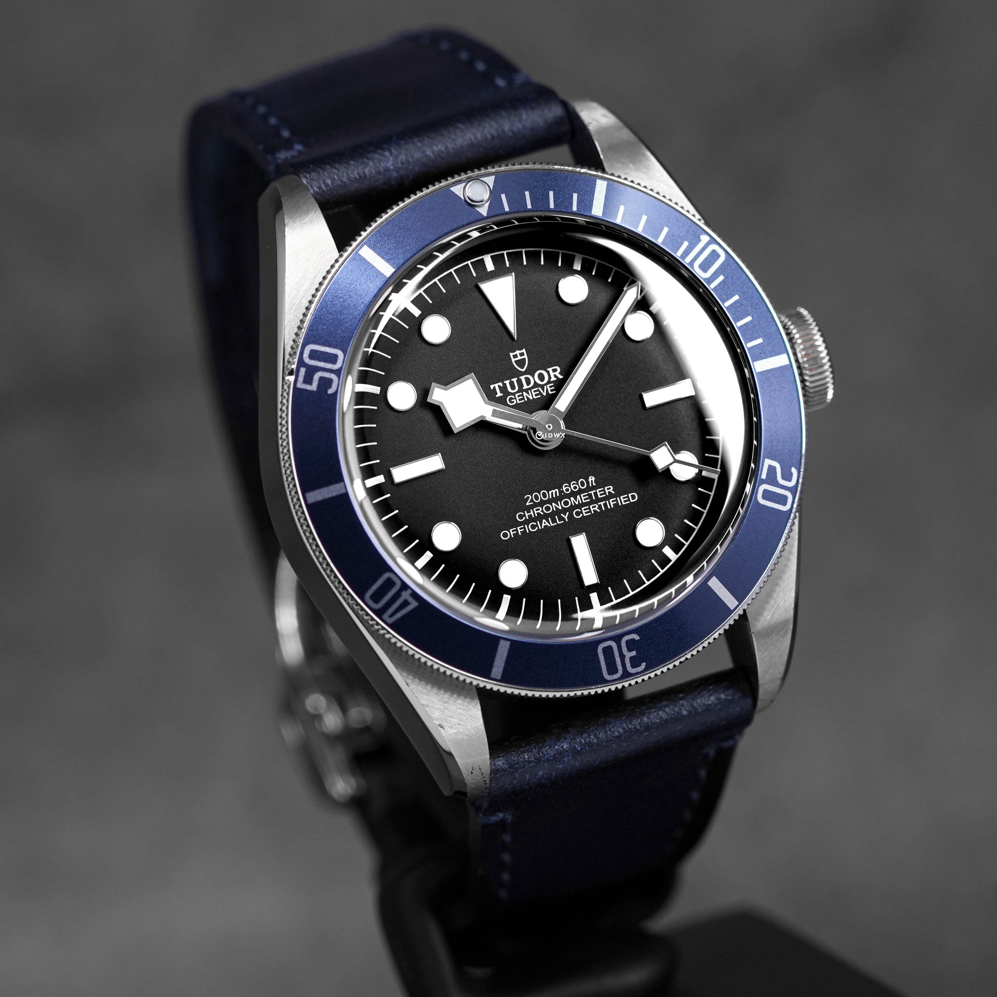 Harga Tudor Heritage Black Bay 41 Blue