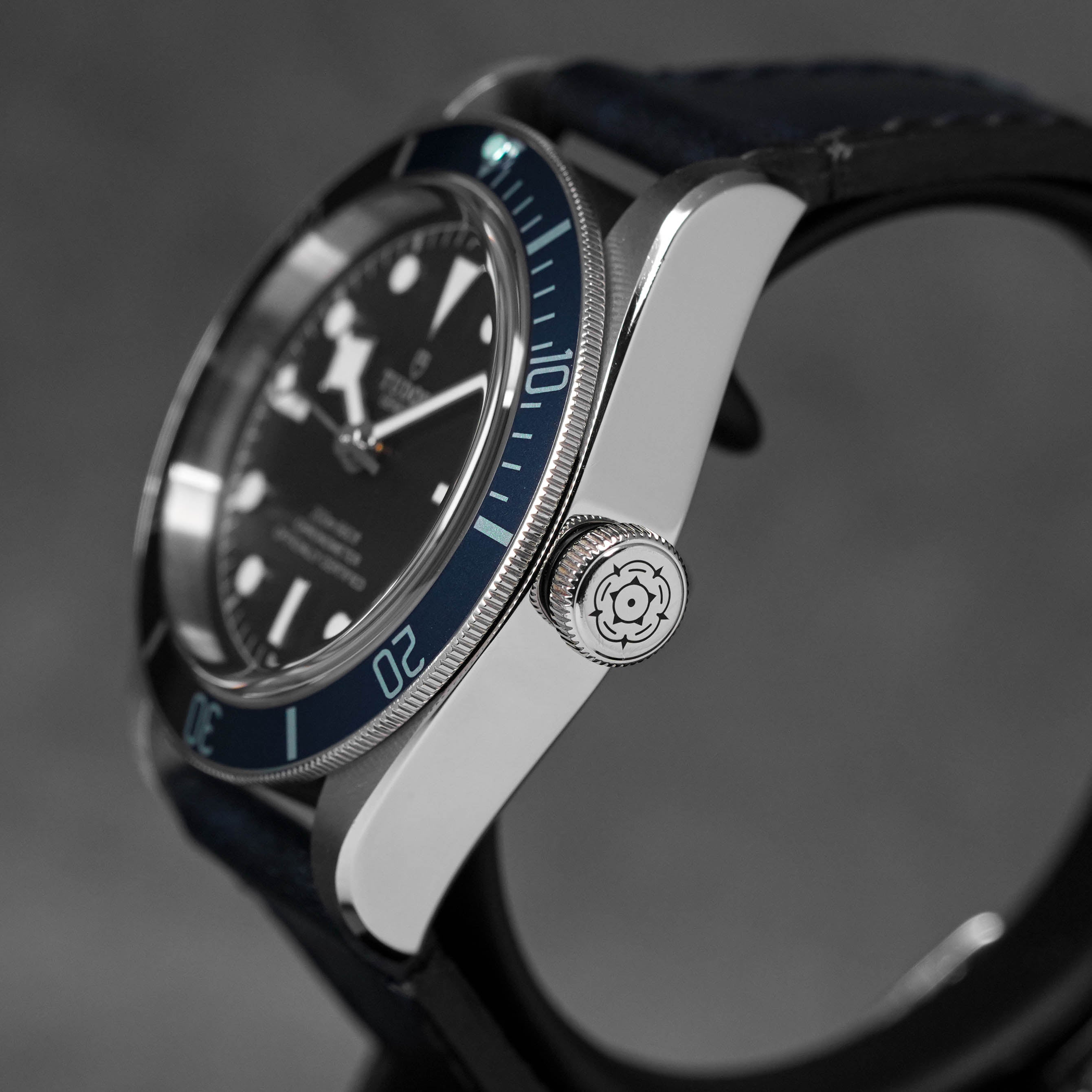 Harga Tudor Heritage Black Bay 41 Blue