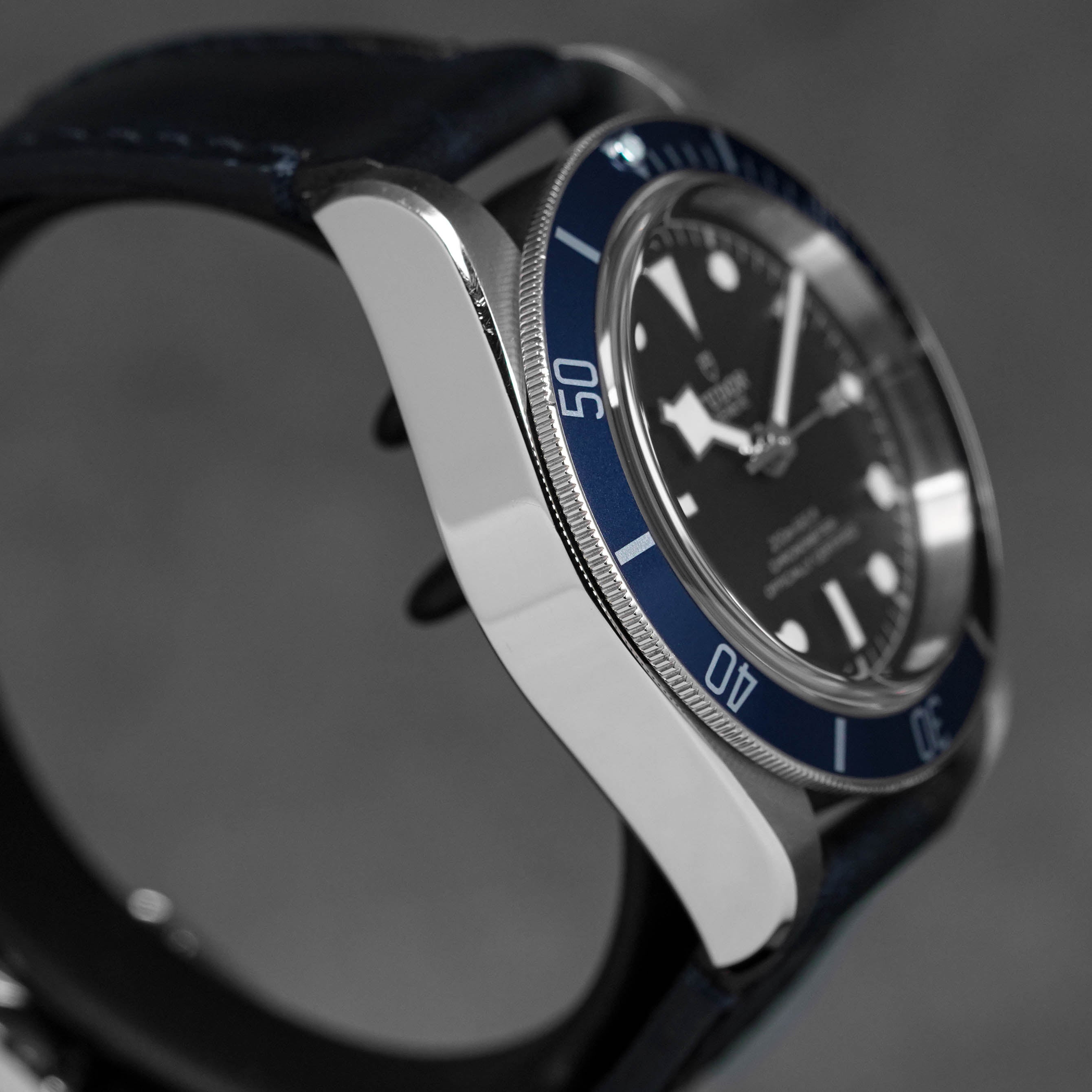 Harga Tudor Heritage Black Bay 41 Blue