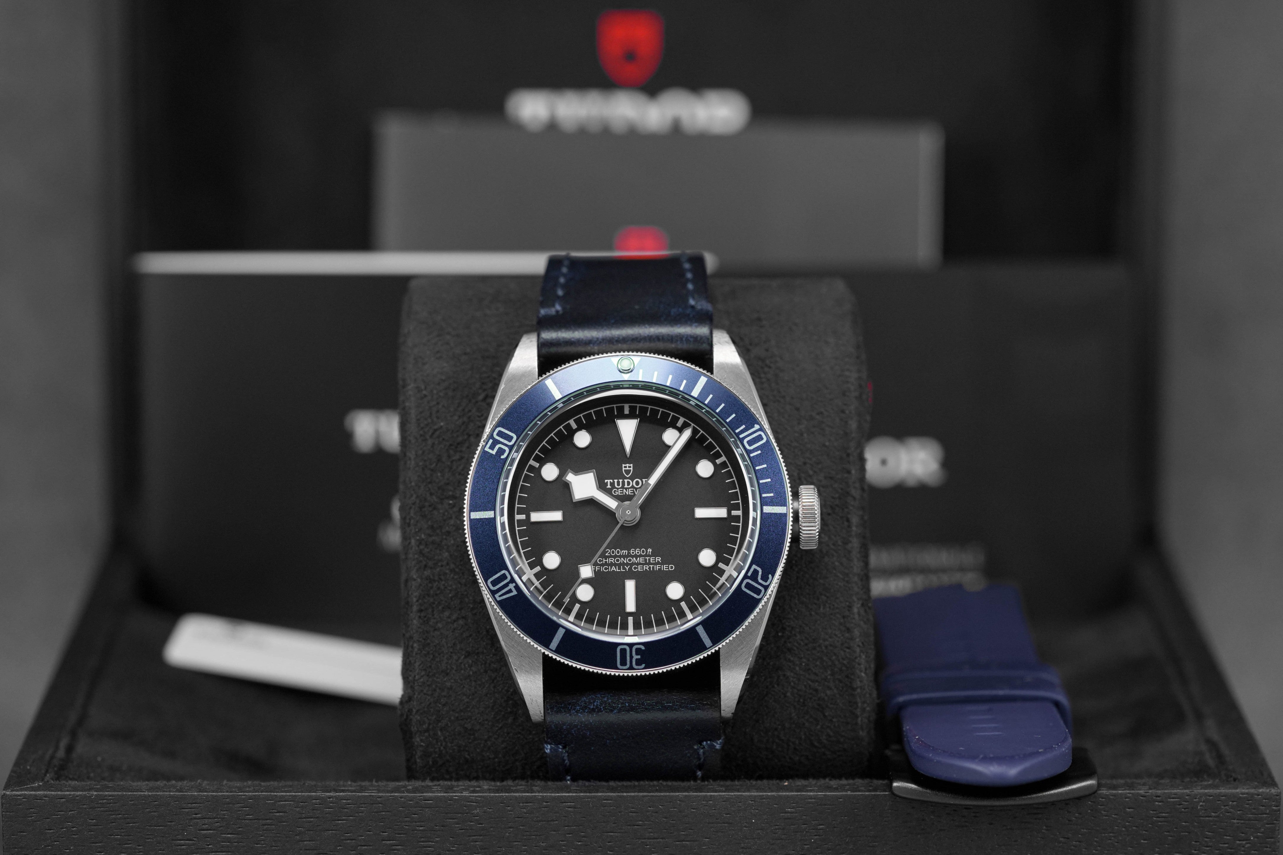 Harga Tudor Heritage Black Bay 41 Blue