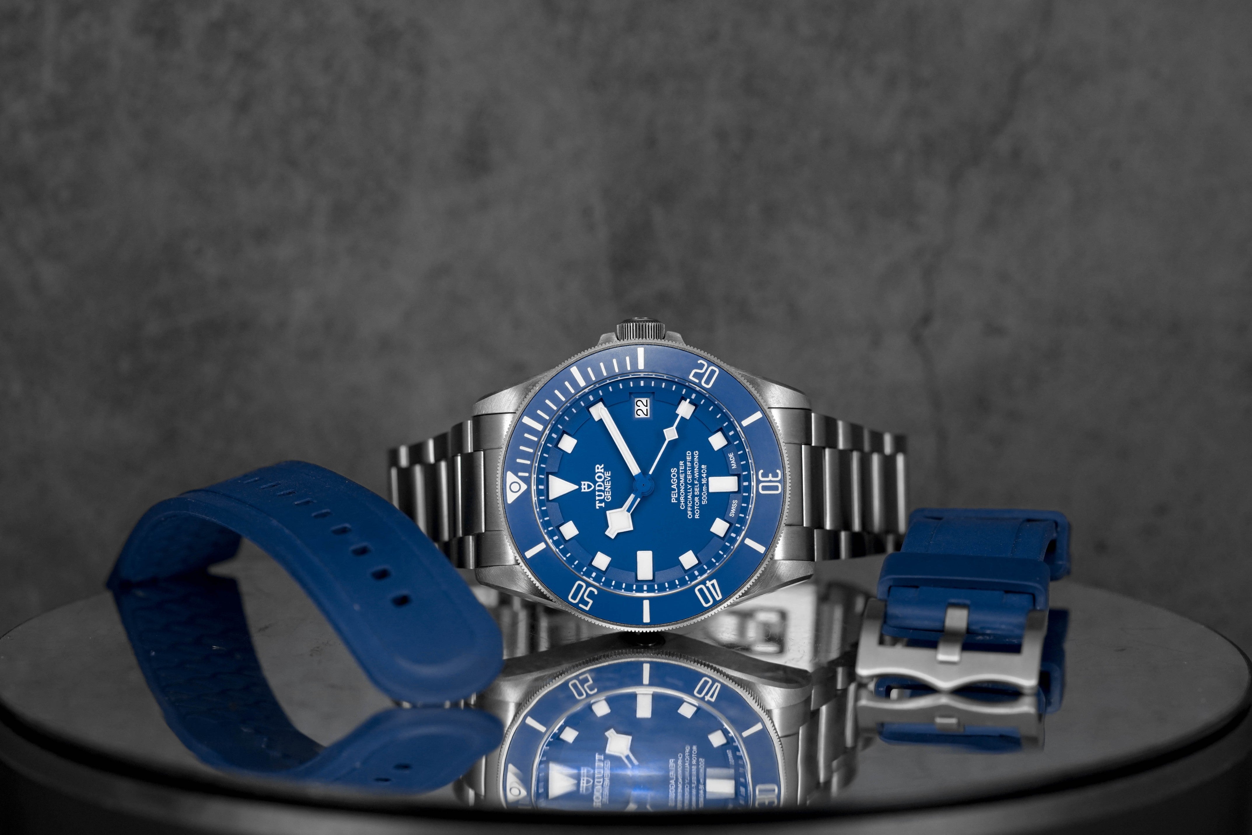Harga Tudor Pelagos Titanium Blue