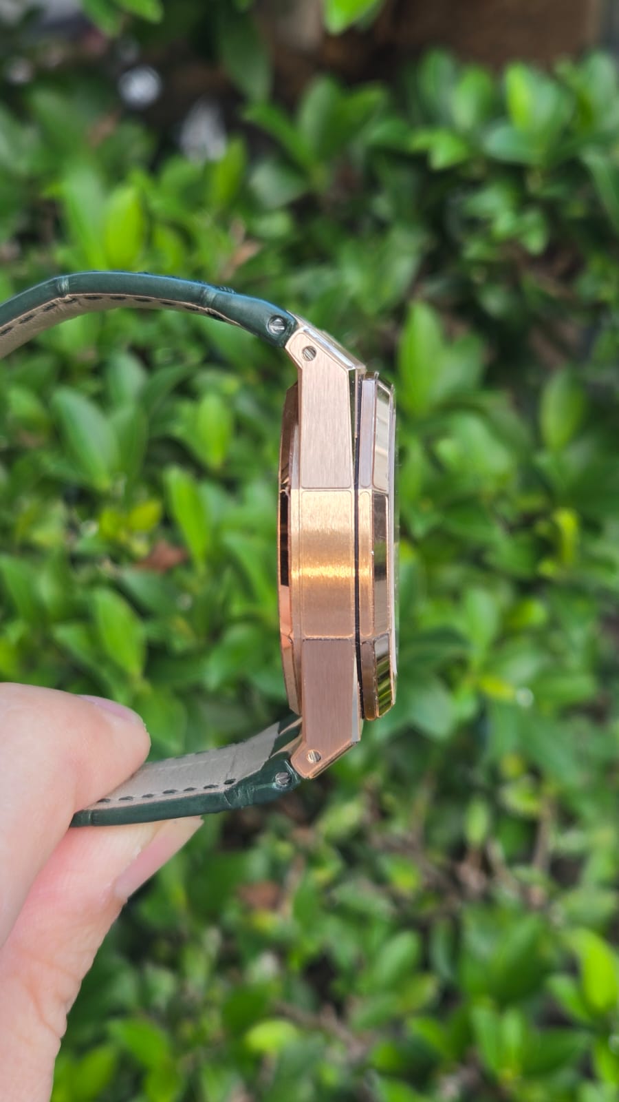 ROYAL OAK CHRONOGRAPH 41MM ROSEGOLD KHAKI GREEN DIAL (2025)