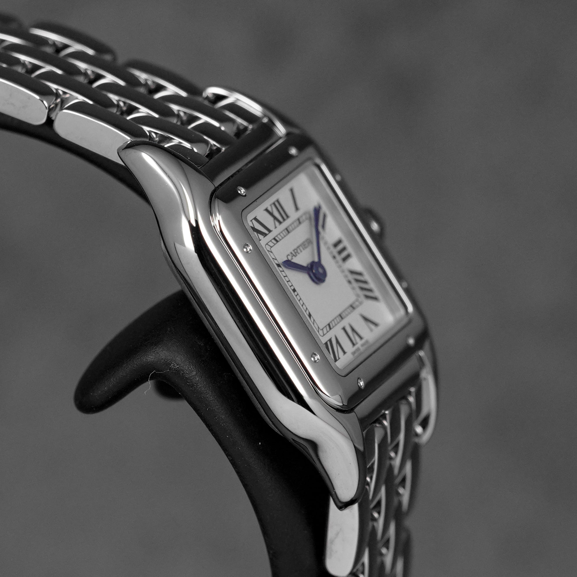 PANTHÈRE S SILVER DIAL (2026)