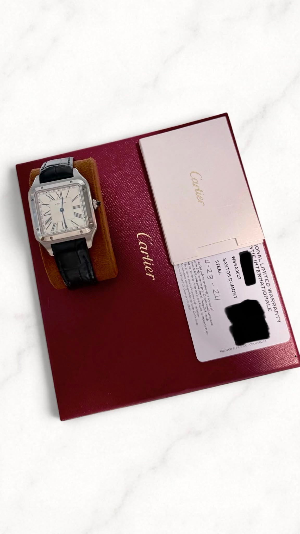 SANTOS DUMONT L SILVER DIAL (2024)