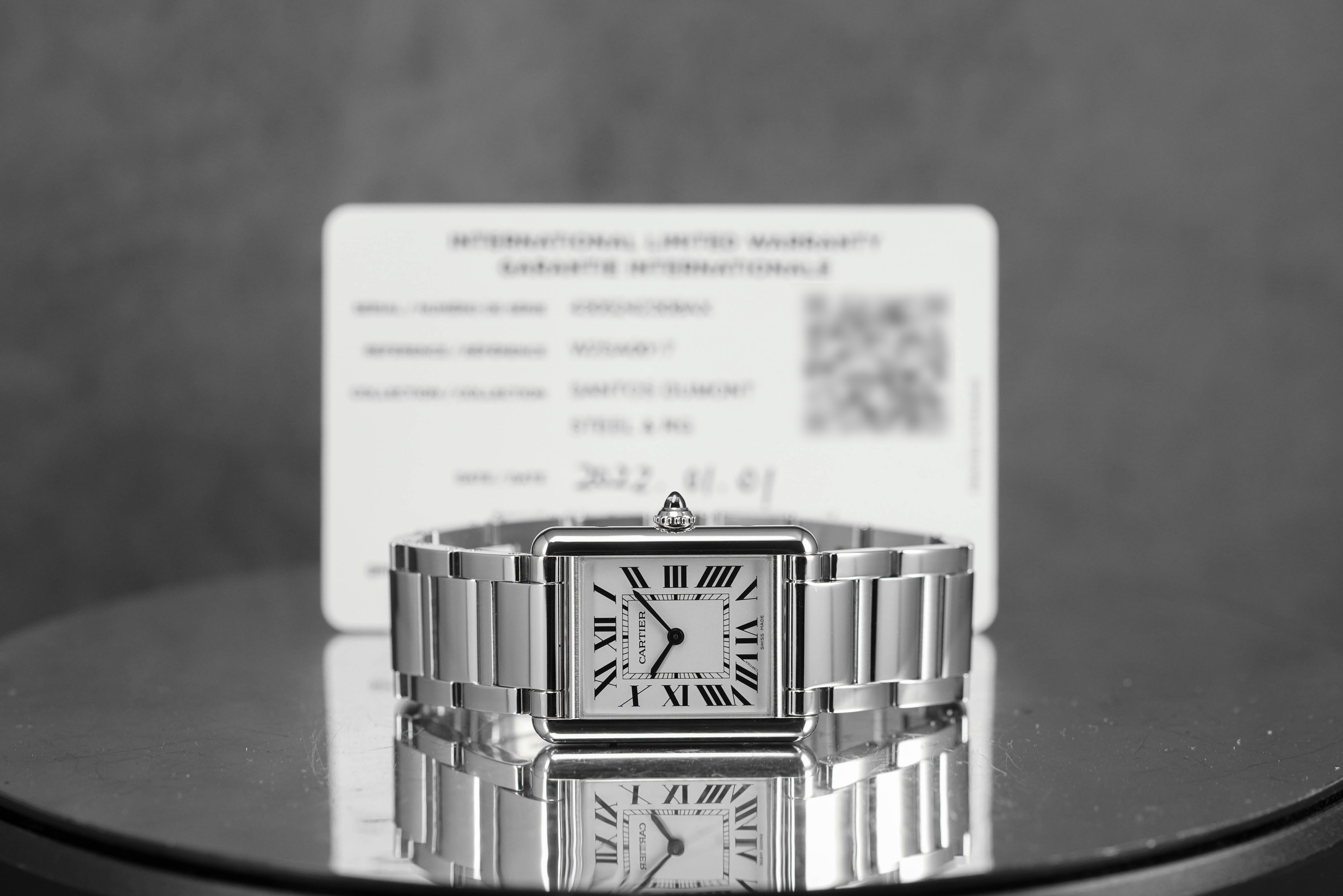 TANK MUST L STEEL SILVER DIAL (2022)