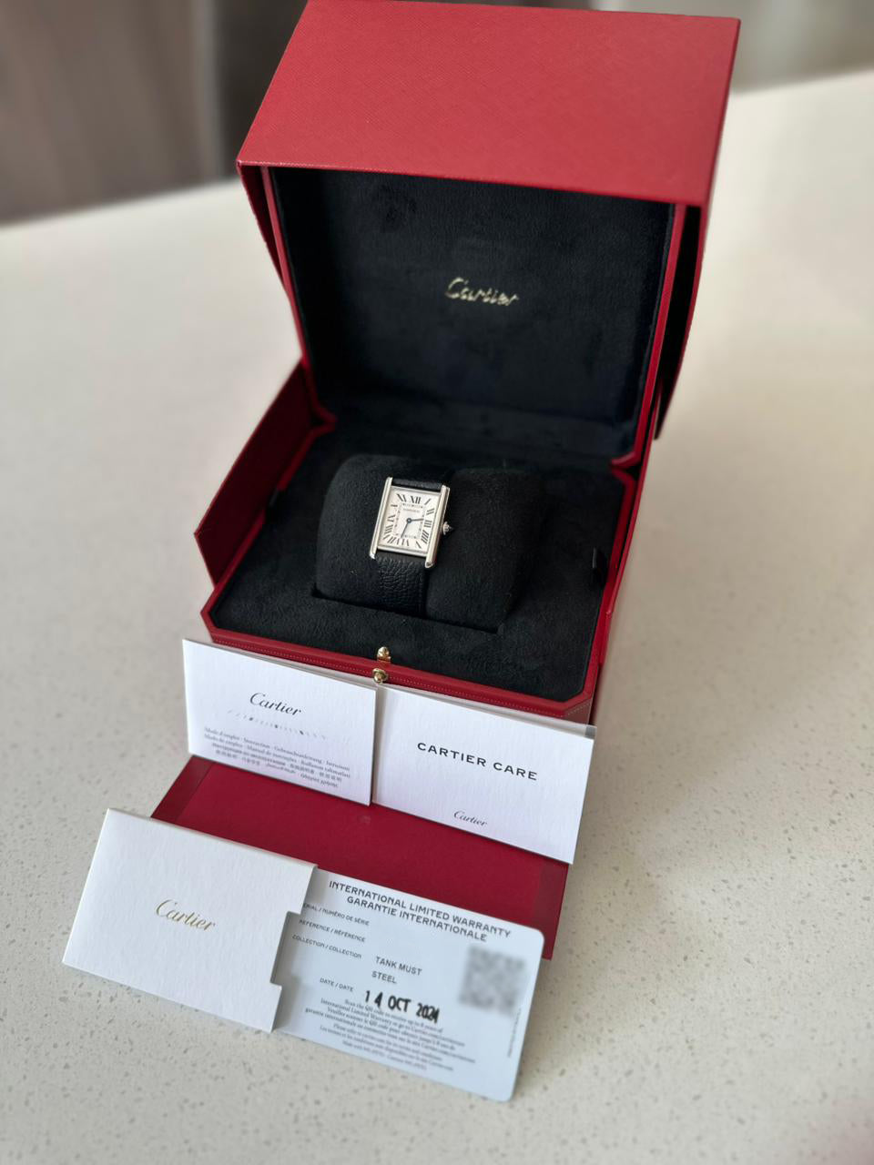 TANK MUST L SILVER DIAL (2024)