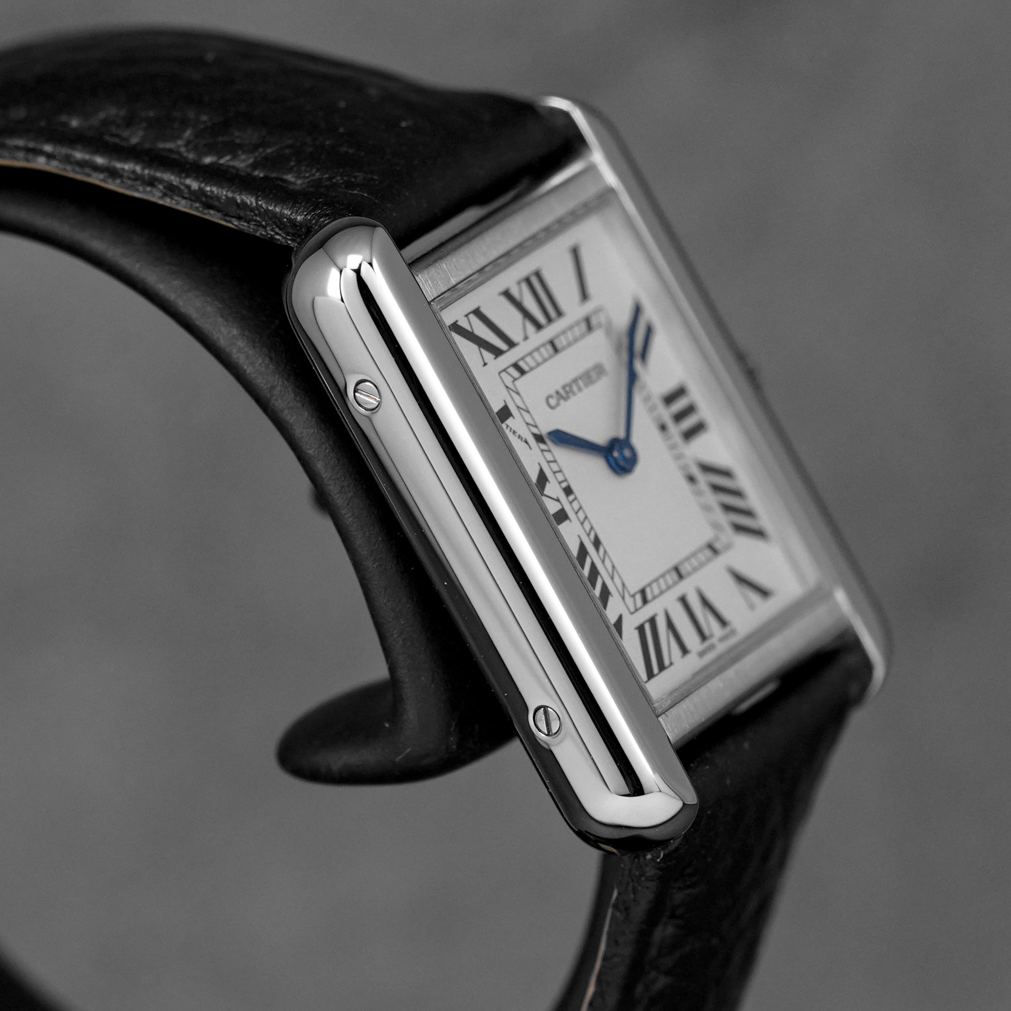 harga cartier tank solo s silver